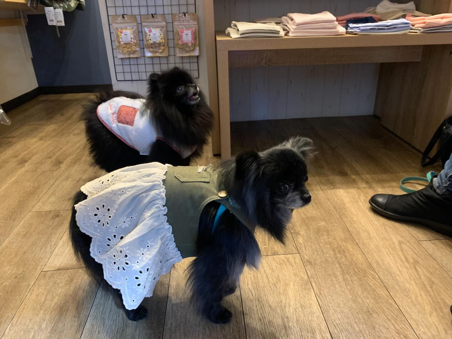 ラナちゃんご来店ありがとうございます😊