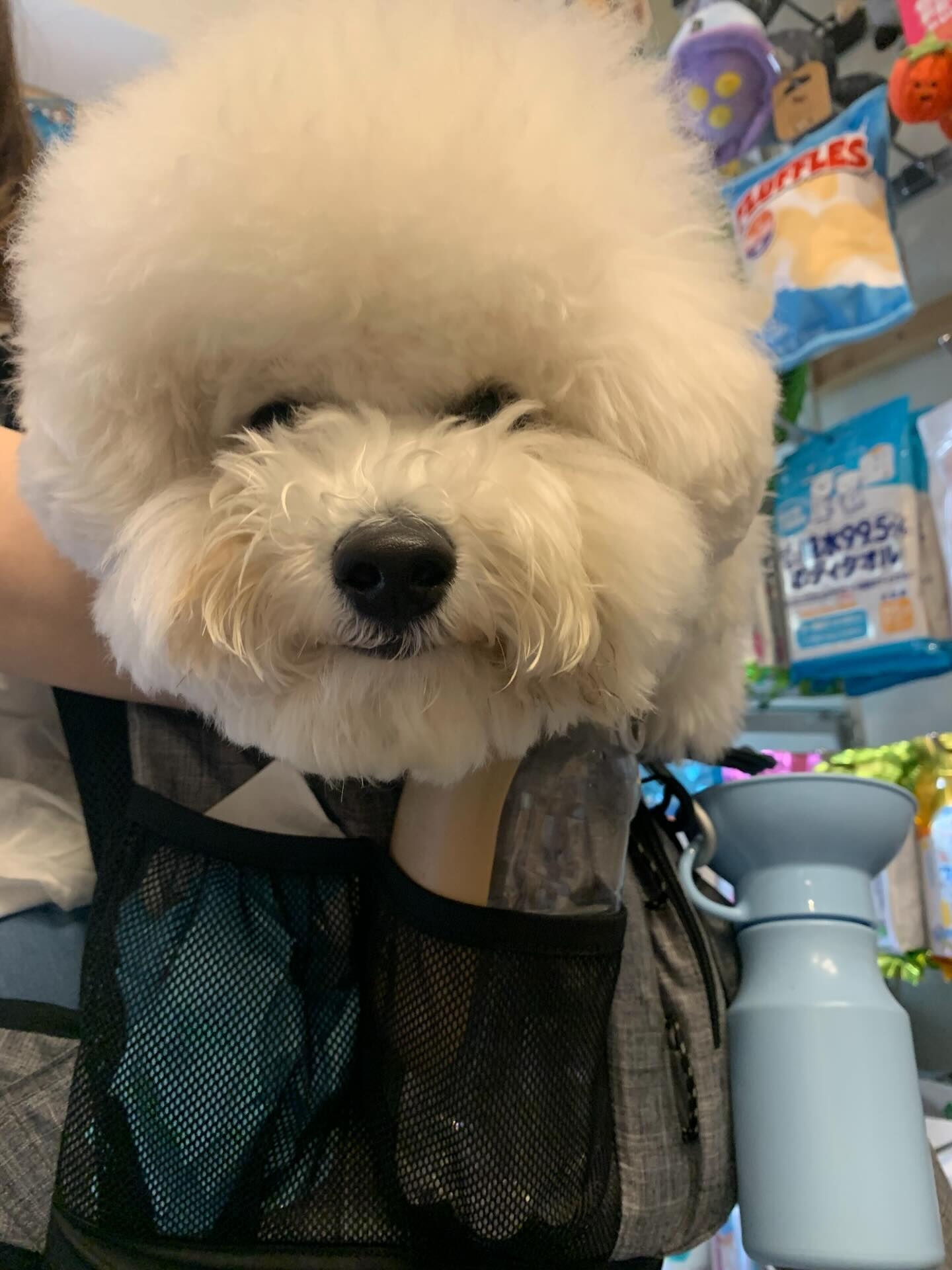 フランくんご来店ありがとうございます😊