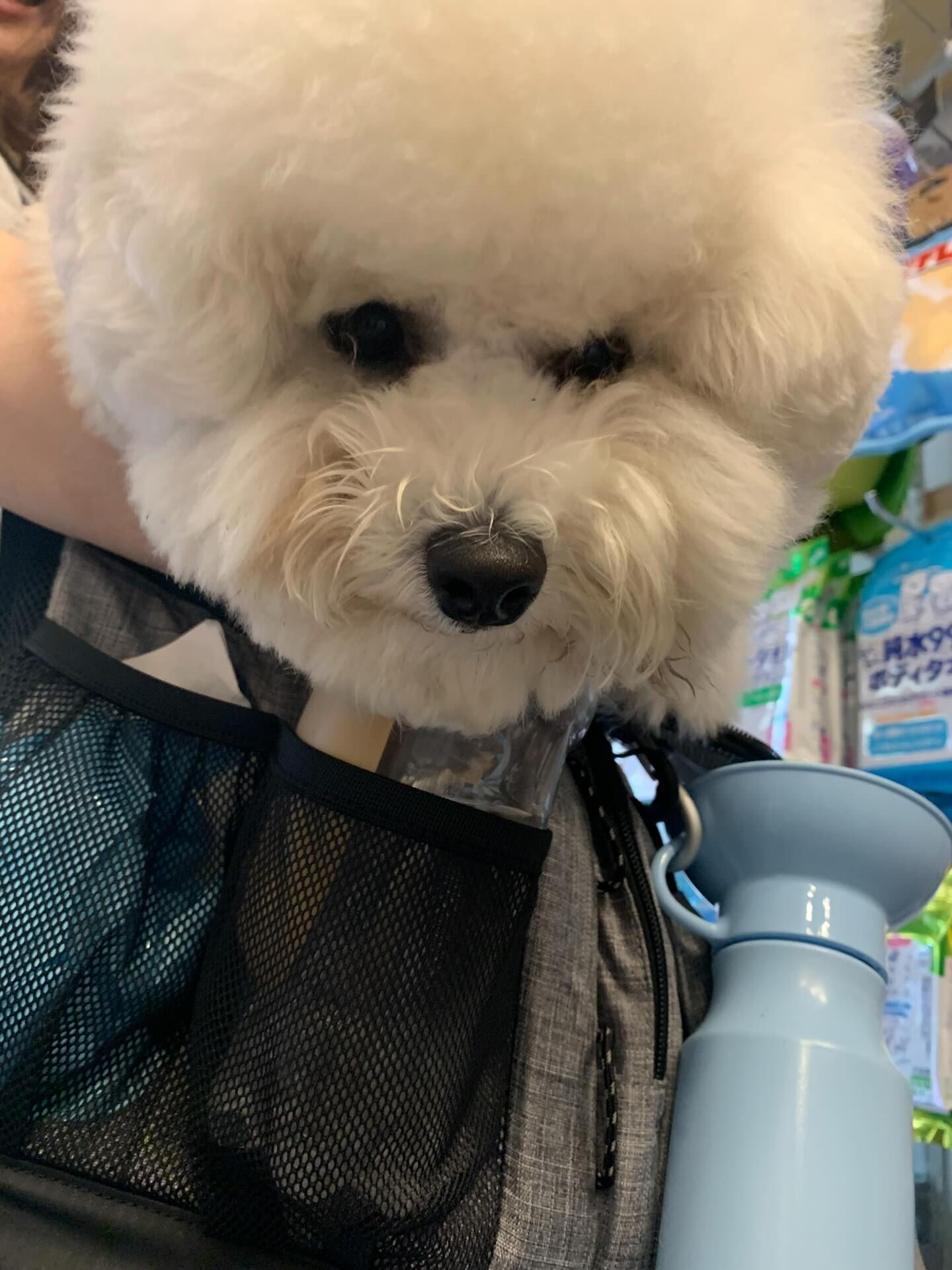 フランくんご来店ありがとうございます😊