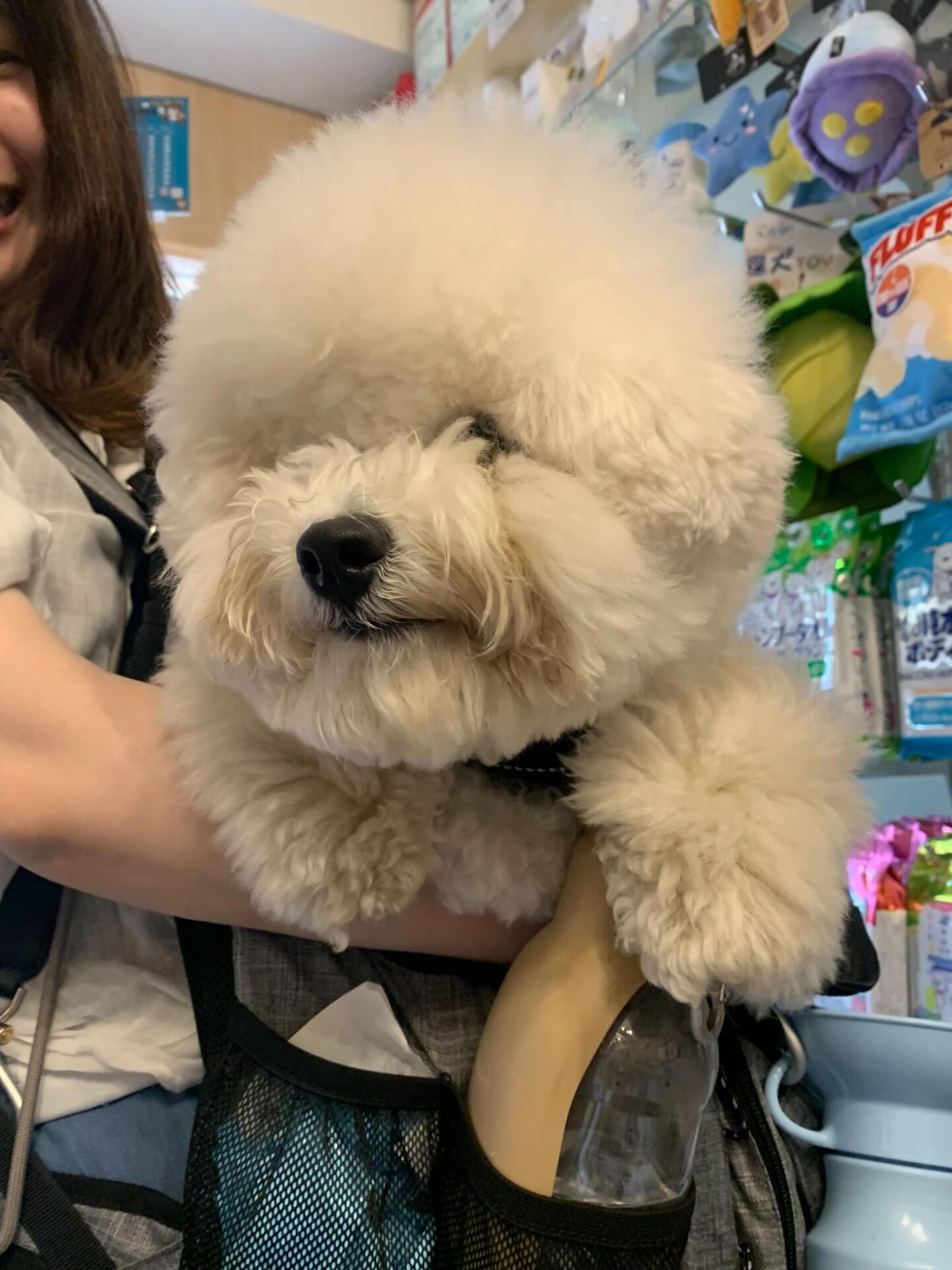 フランくんご来店ありがとうございます😊
