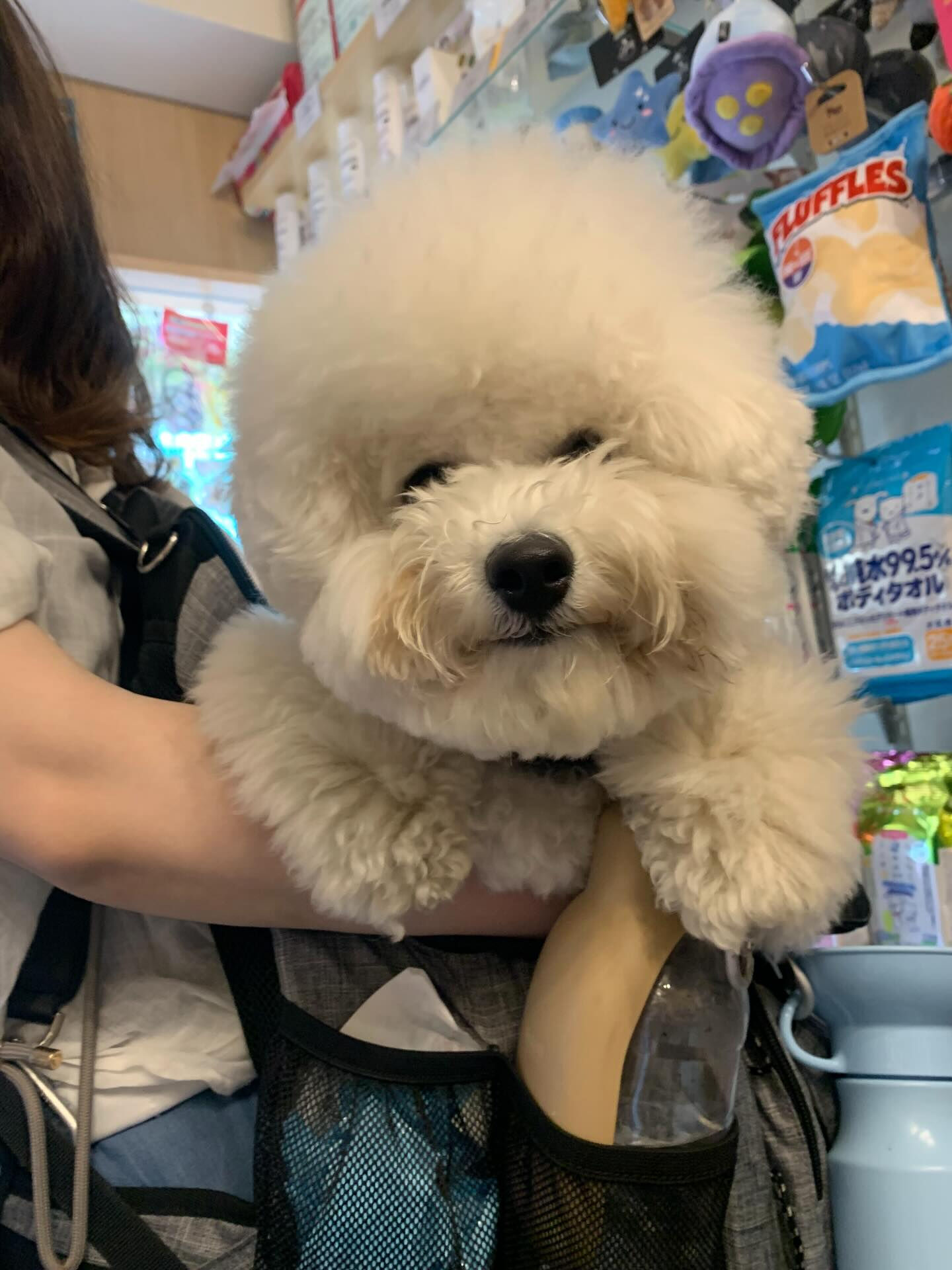 フランくんご来店ありがとうございます😊