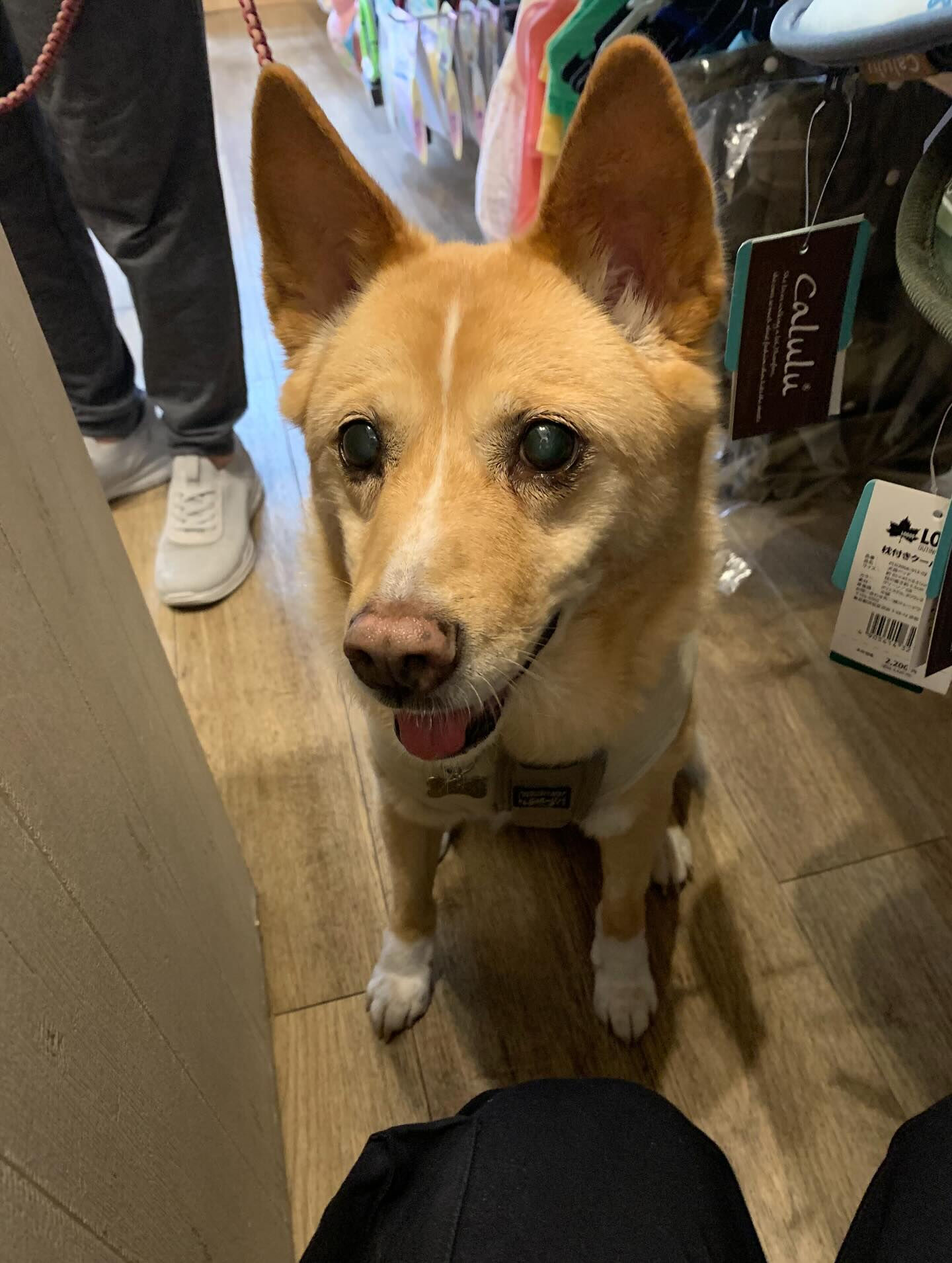 楓ちゃんご来店ありがとうございます😊