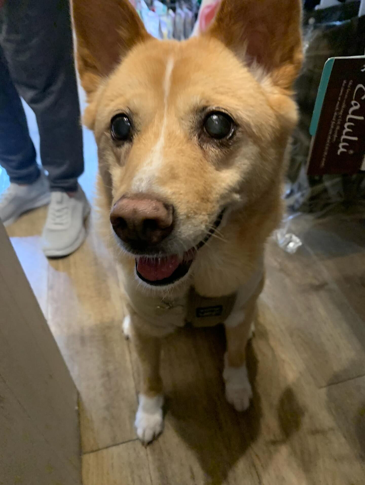 楓ちゃんご来店ありがとうございます😊
