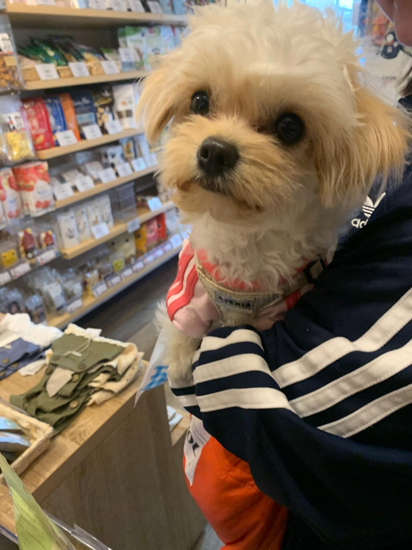 ねねちゃんご来店ありがとうございます😊