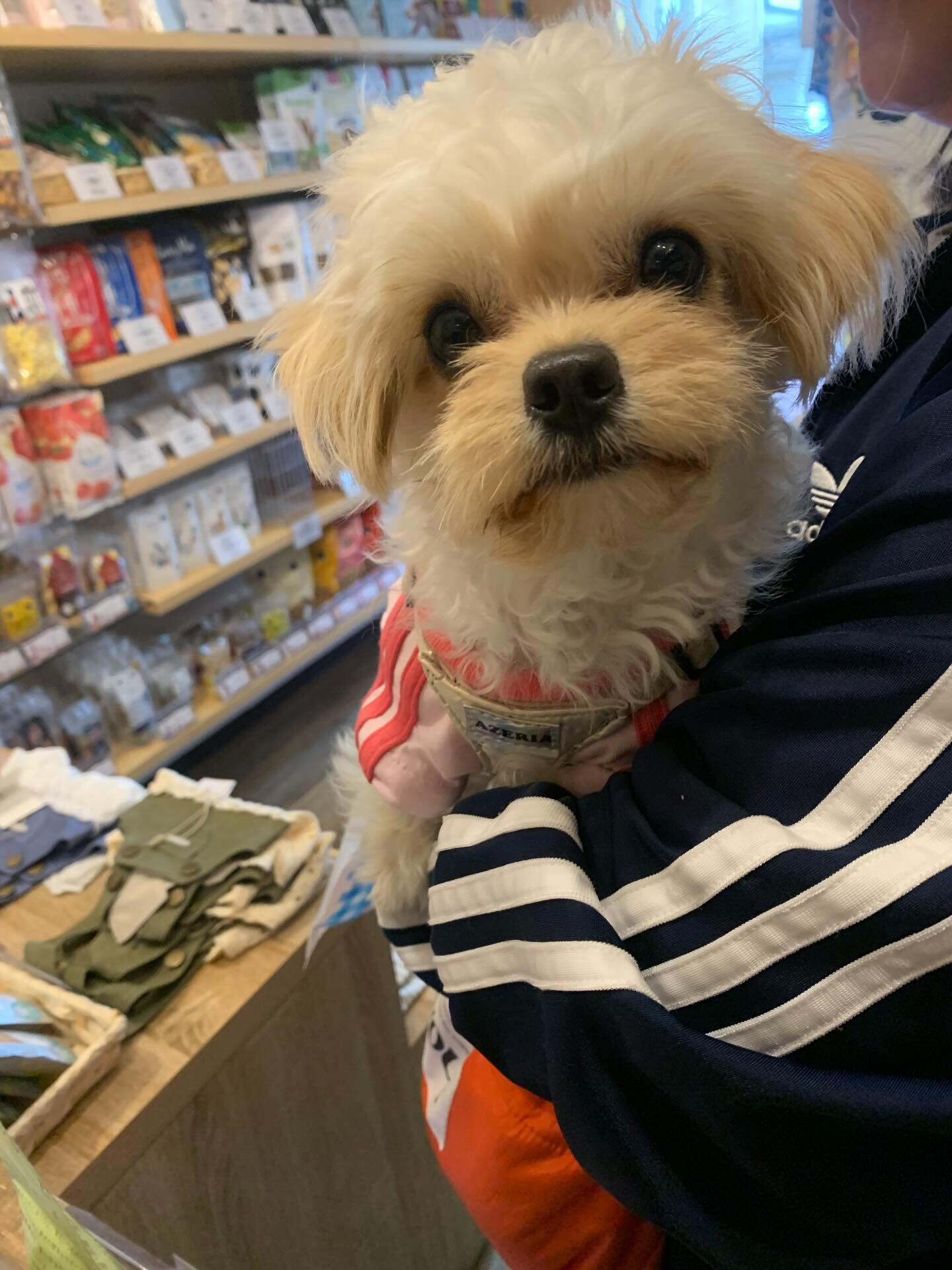 ねねちゃんご来店ありがとうございます😊