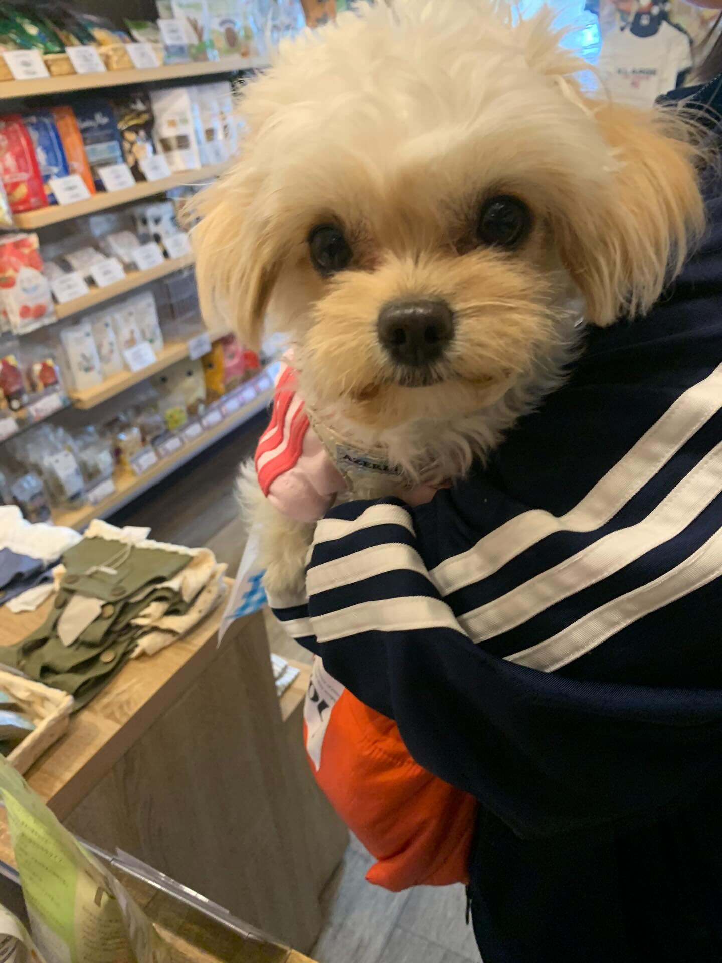 ねねちゃんご来店ありがとうございます😊