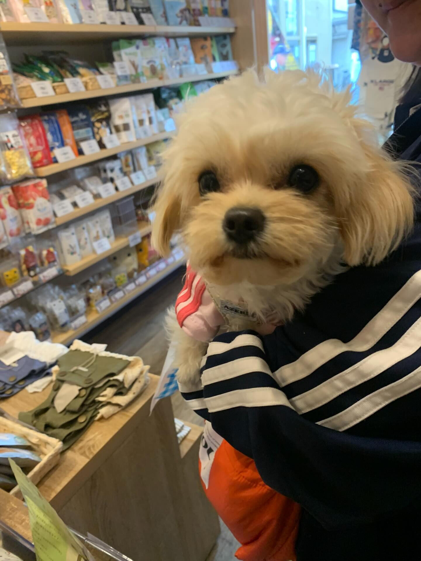 ねねちゃんご来店ありがとうございます😊