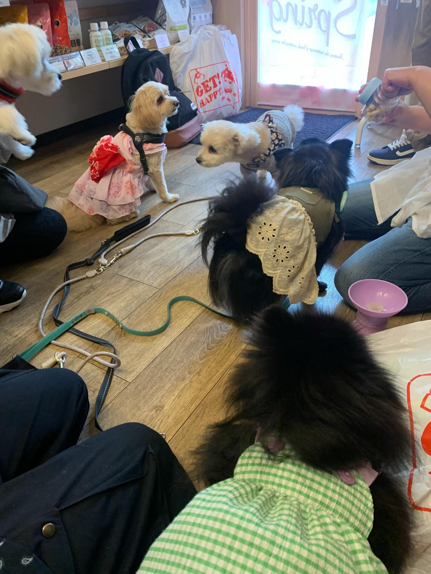 ウコちゃん、スコくんご来店ありがとうございます😊