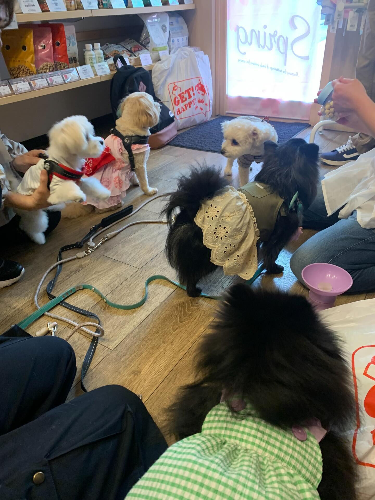 ウコちゃん、スコくんご来店ありがとうございます😊