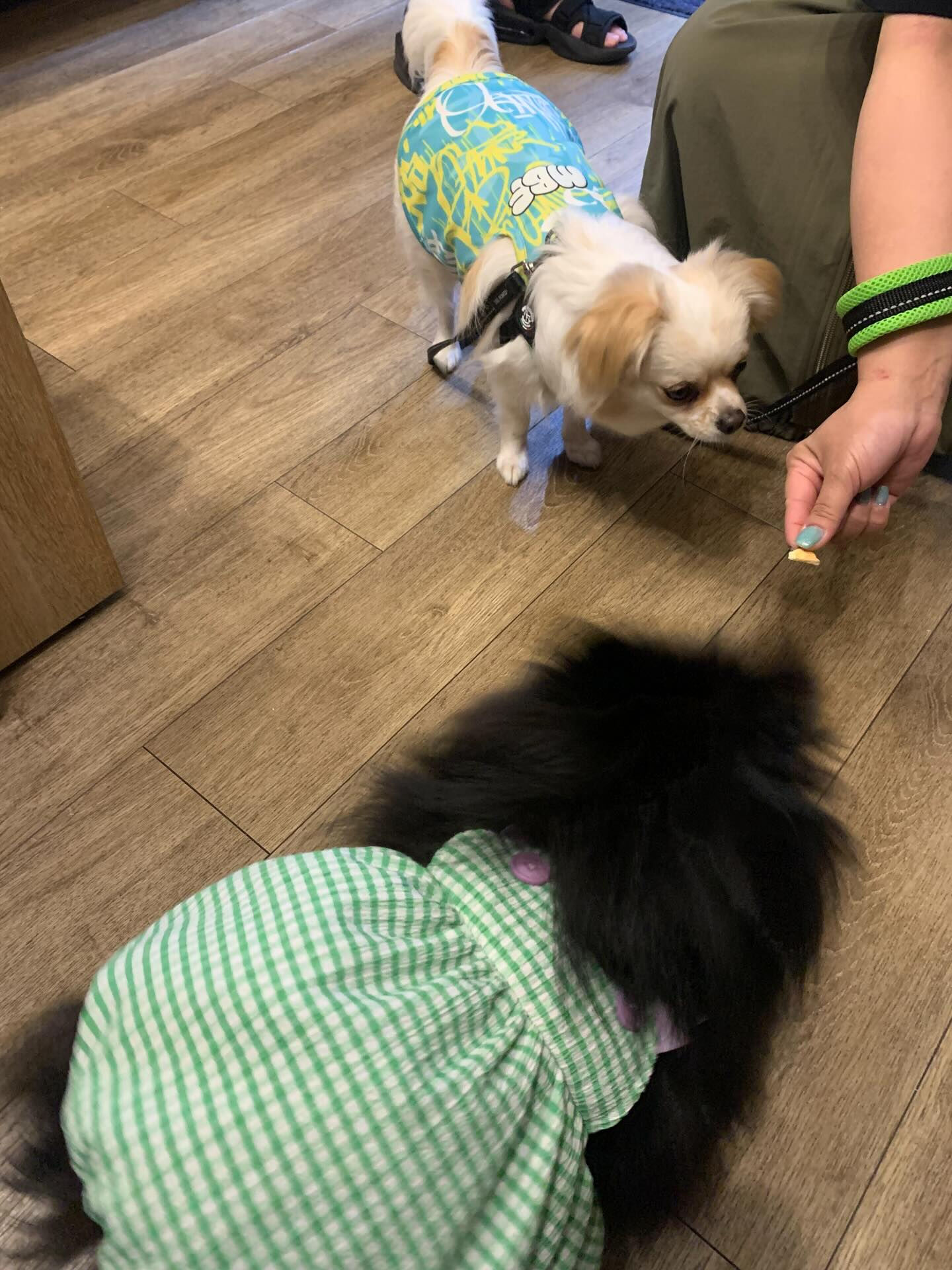 本日の大トリは、ロンくんでしたー✨