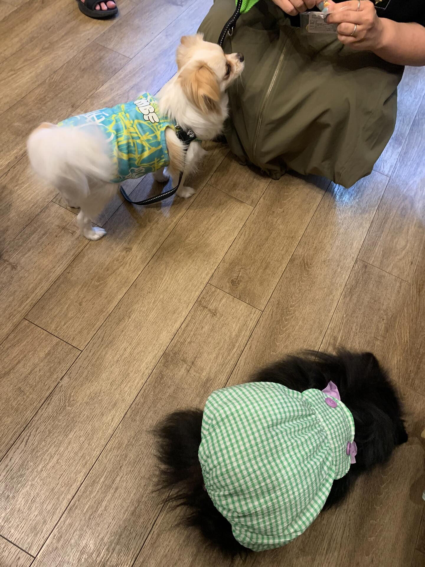 本日の大トリは、ロンくんでしたー✨