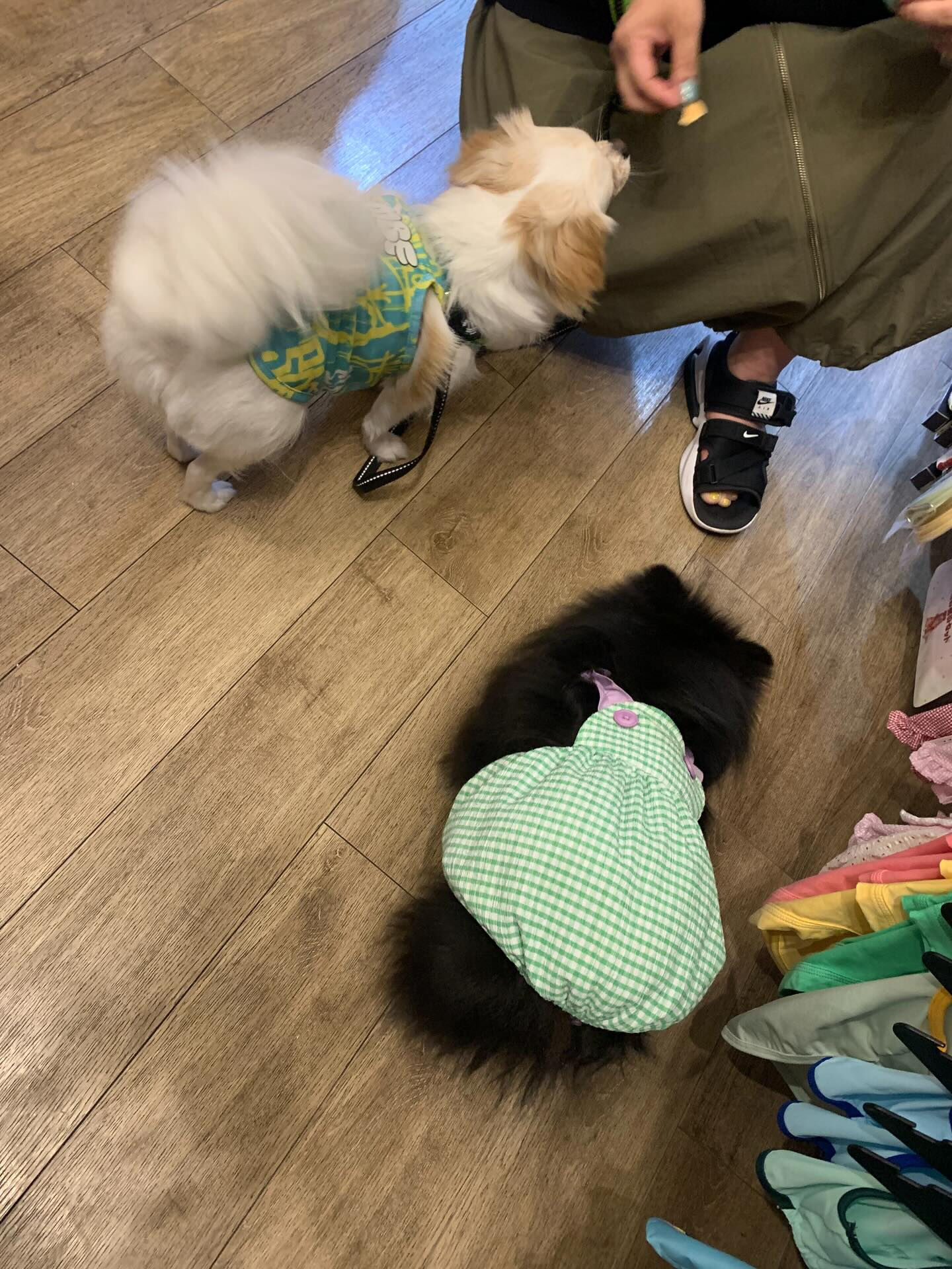 本日の大トリは、ロンくんでしたー✨