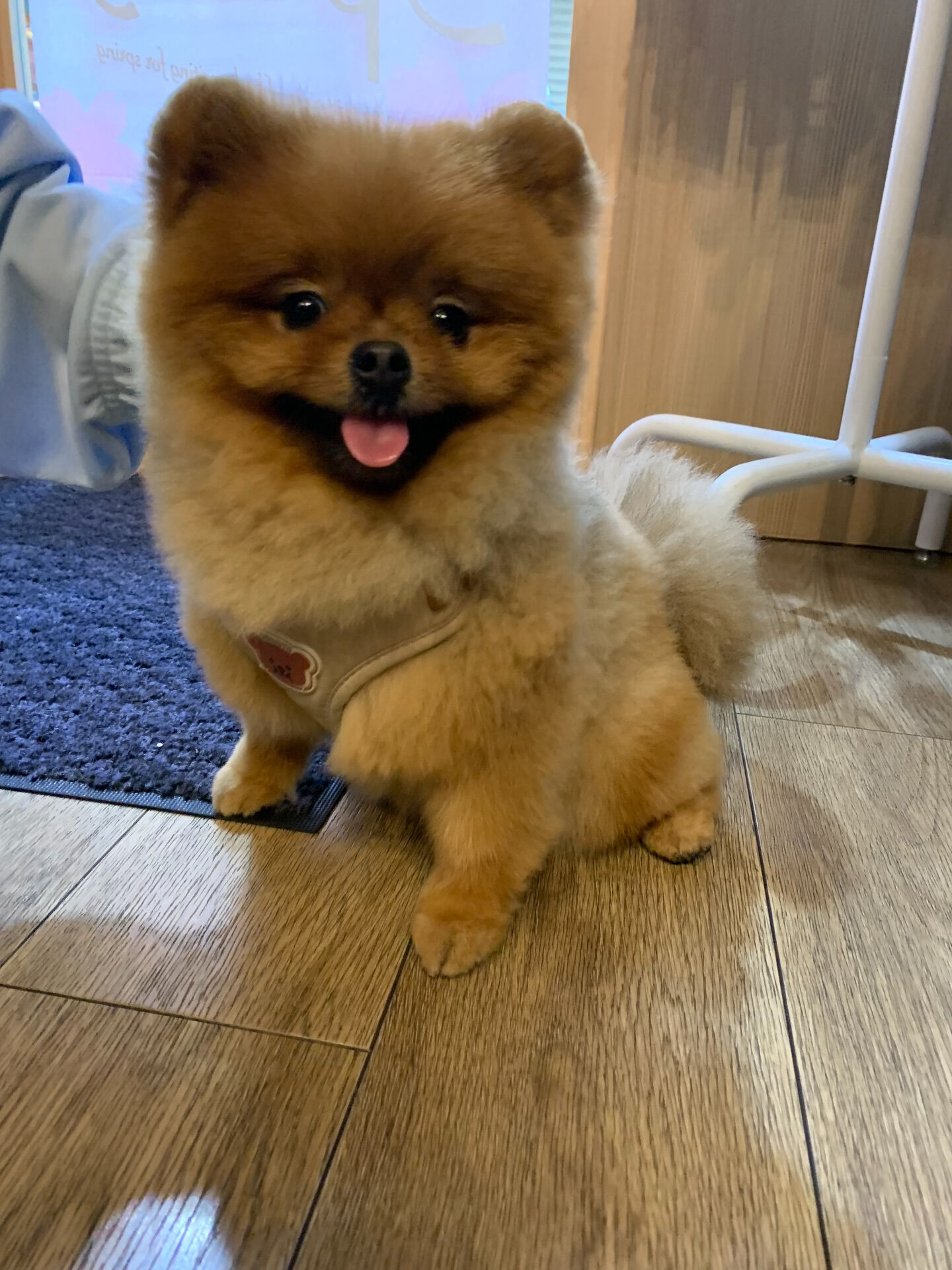 イニちゃんご来店ありがとうございます😊