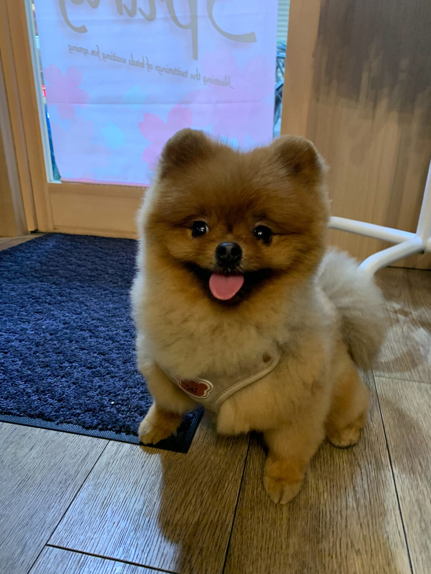 イニちゃんご来店ありがとうございます😊