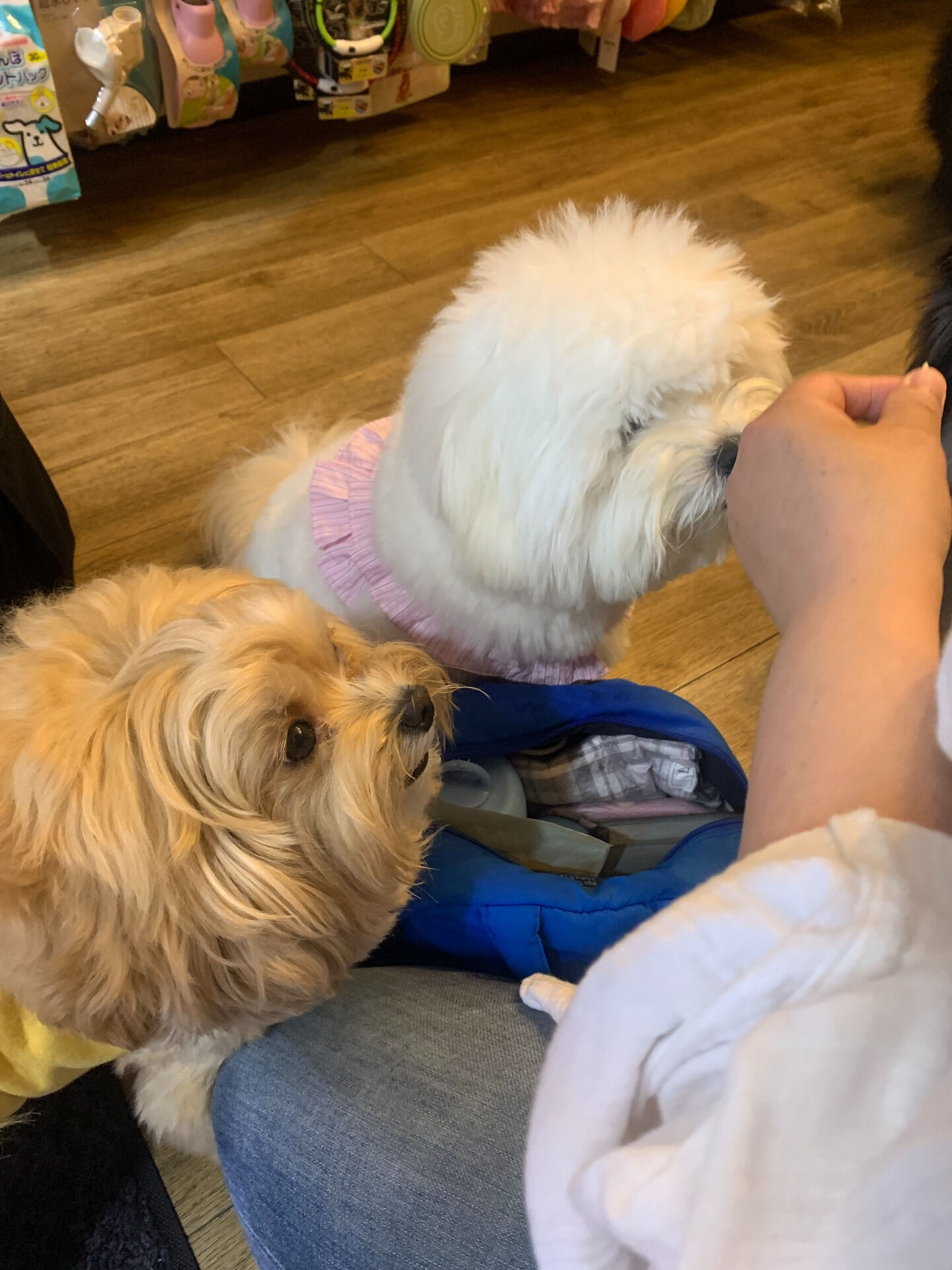 笑丸くん、笑心ちゃんご来店ありがとうございます😊