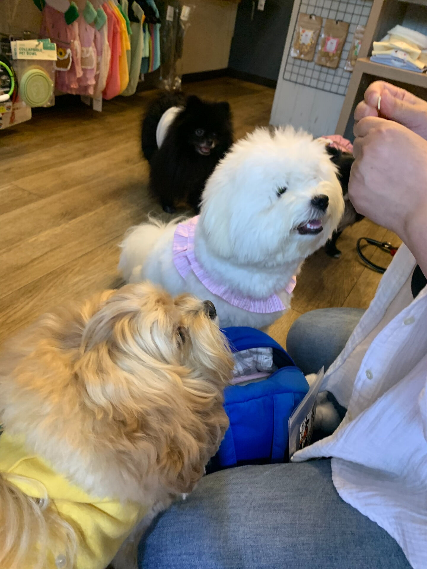 笑丸くん、笑心ちゃんご来店ありがとうございます😊