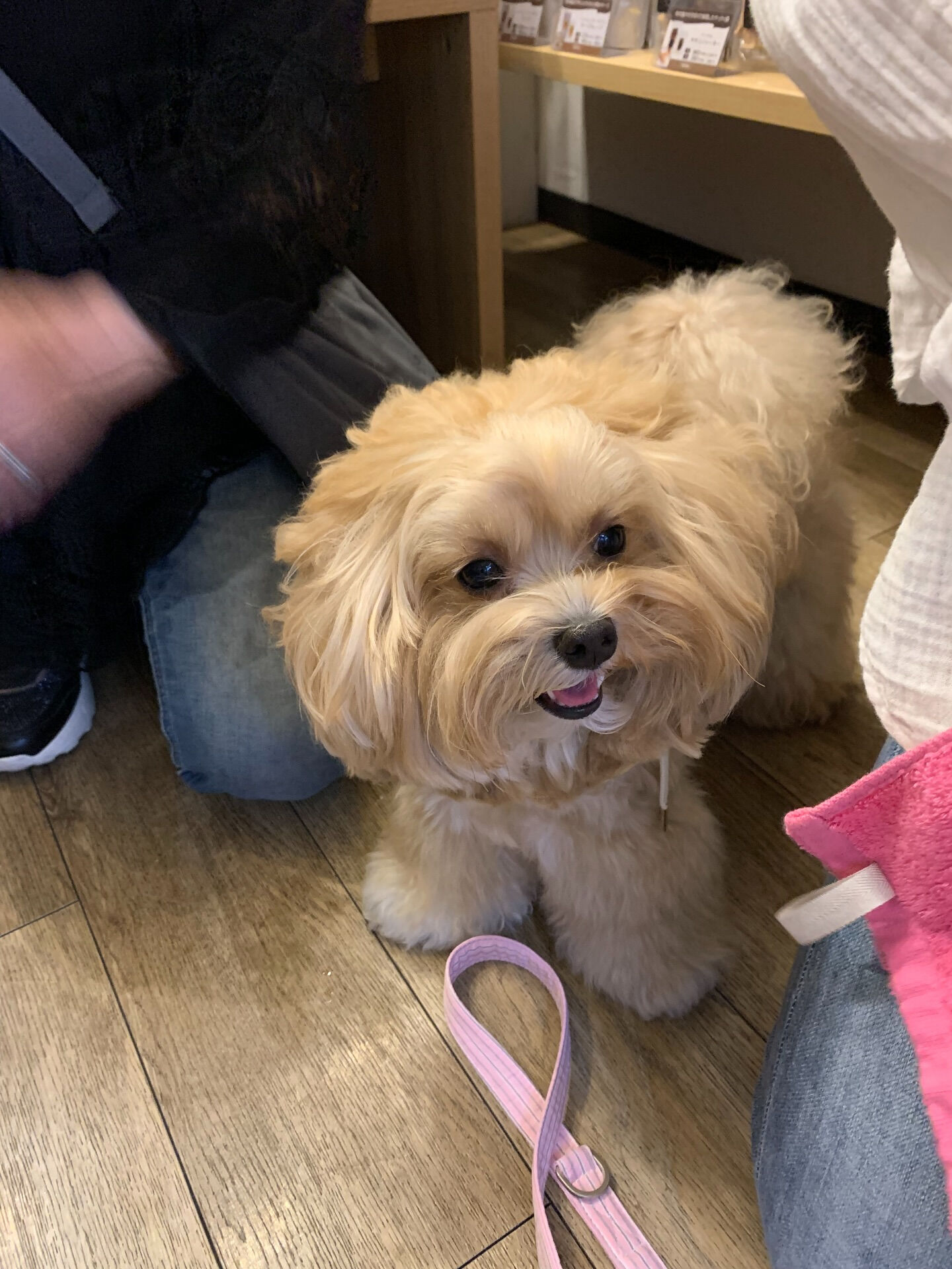 笑丸くん、笑心ちゃんご来店ありがとうございます😊