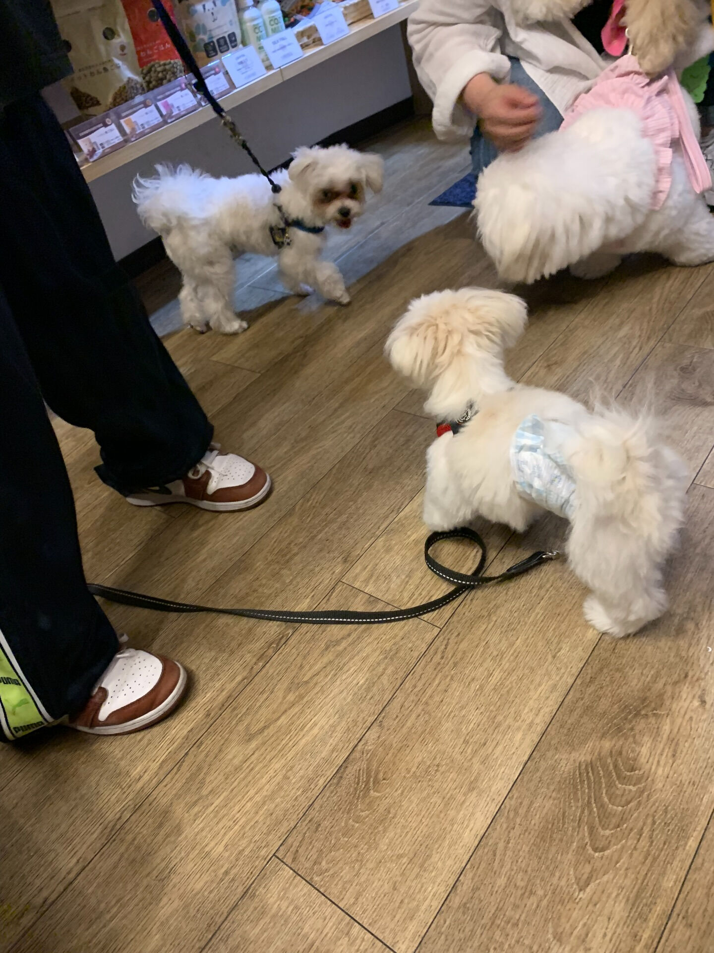 本日の大トリはあめくんでしたー✨