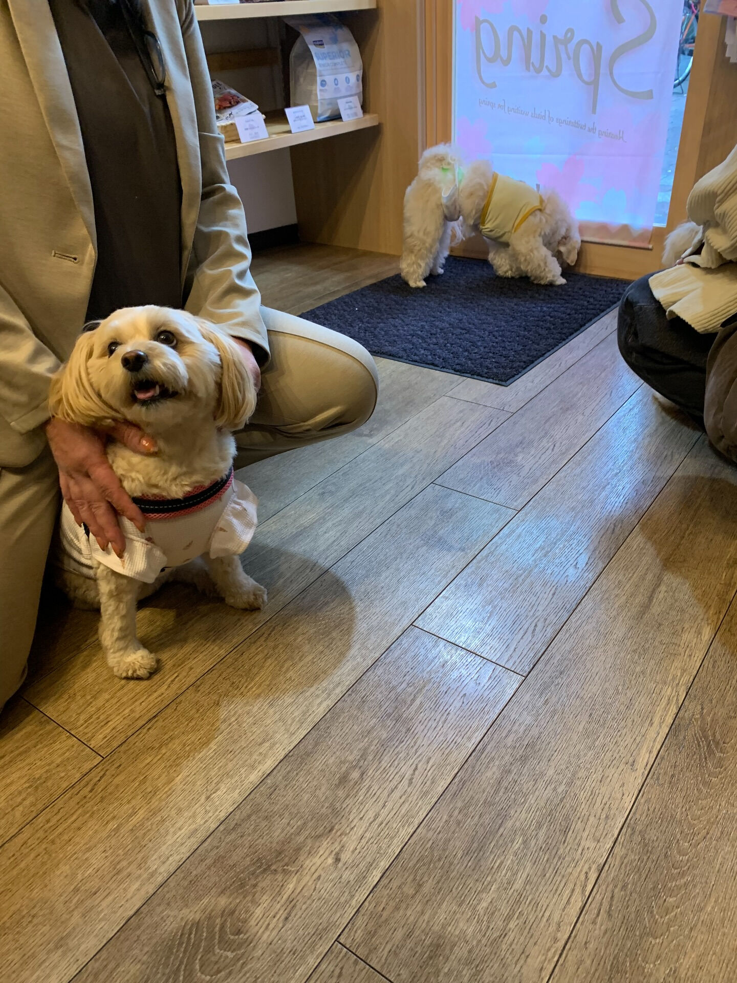 ウコちゃん、スコくん、トーフくんご来店ありがとうございます✨