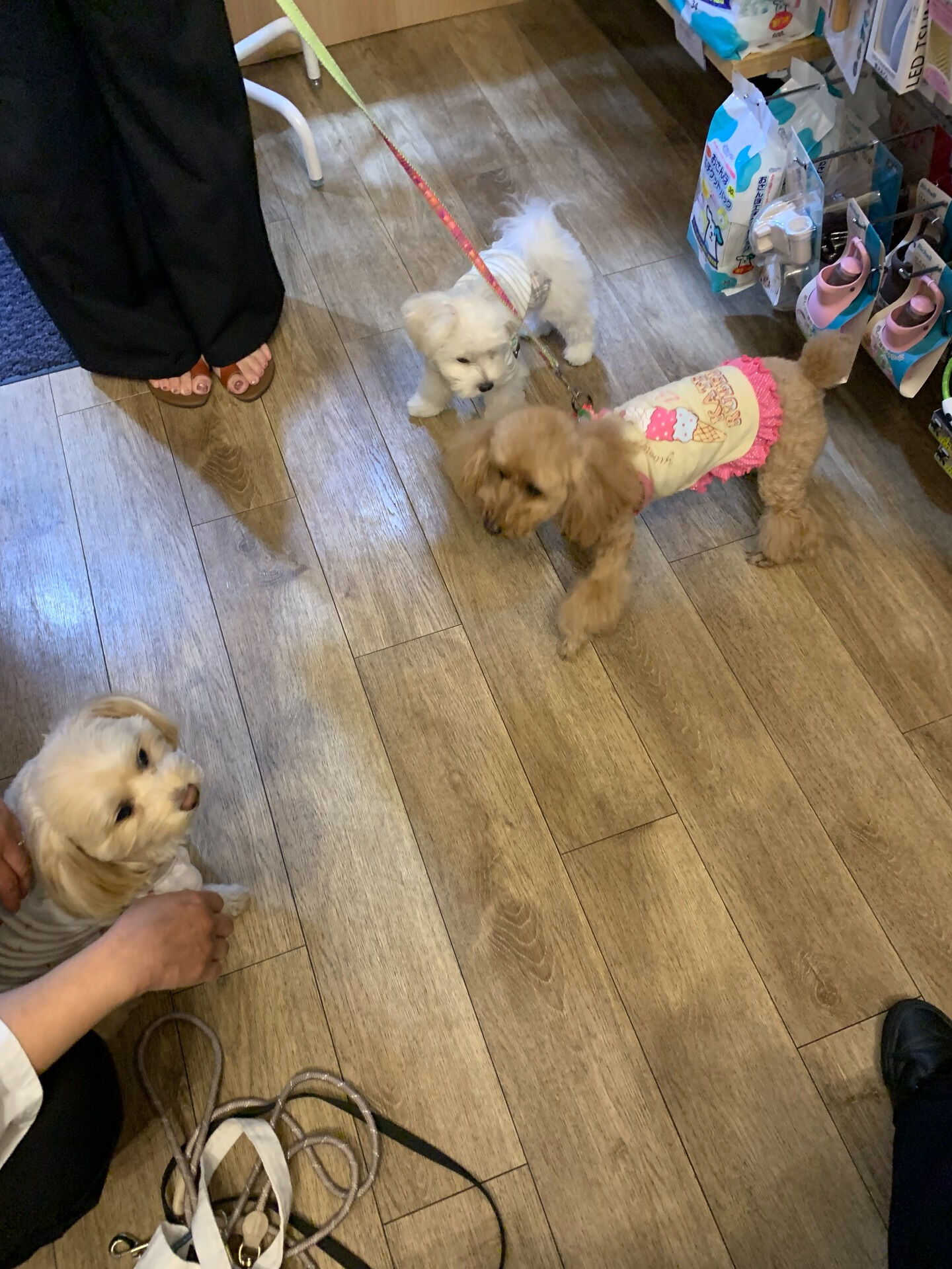 幸音ちゃんご来店ありがとうございます😊