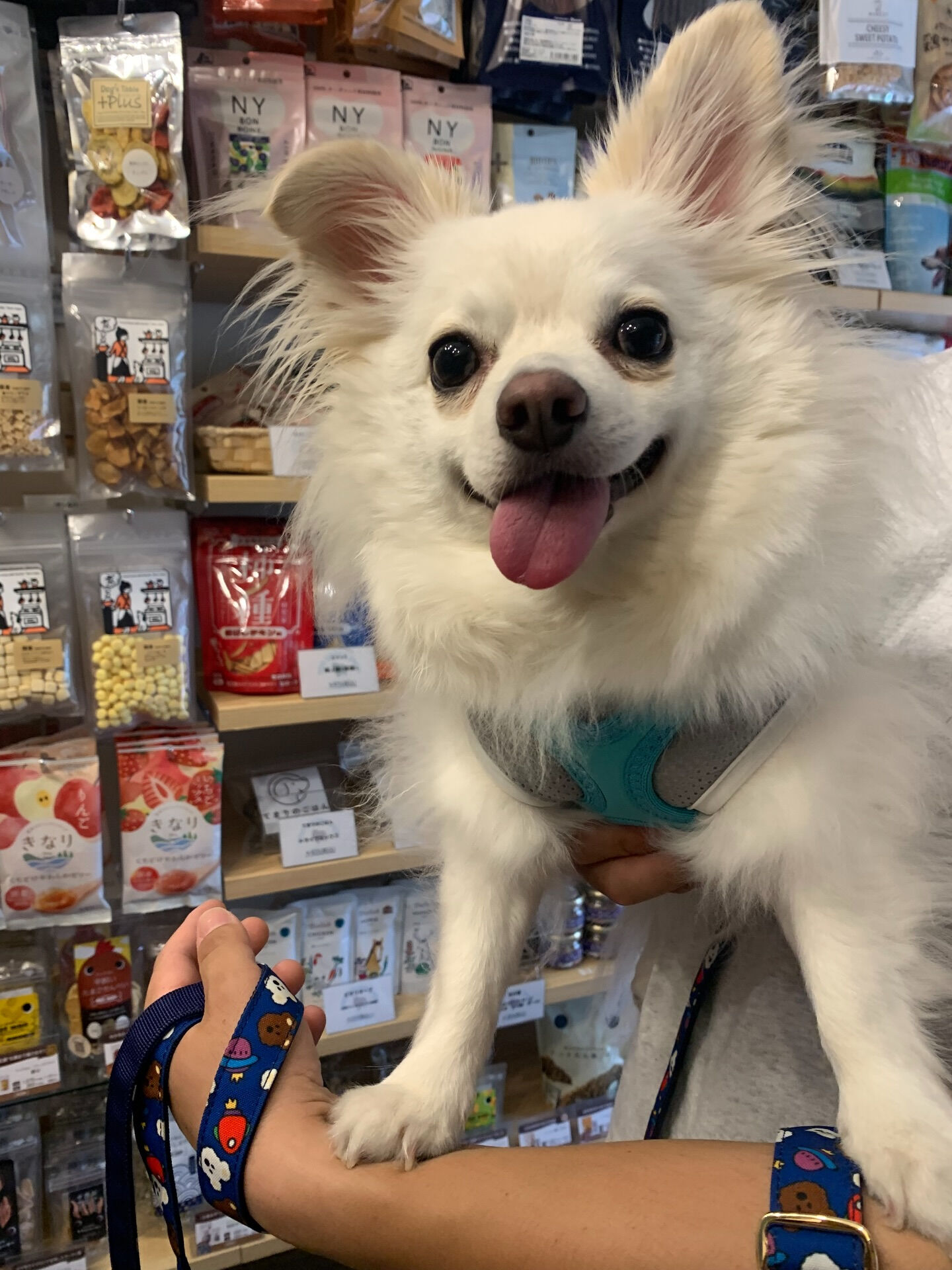 ぽたくんご来店ありがとうございます😊