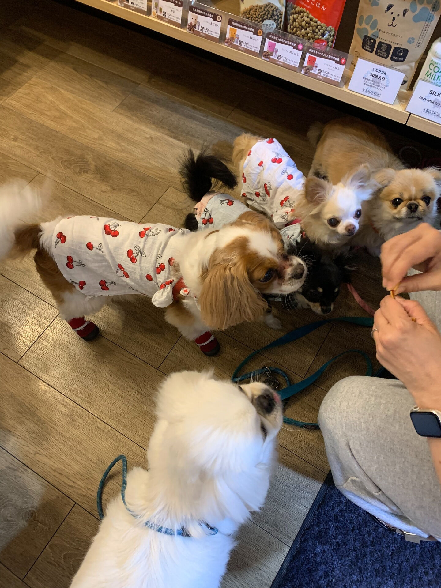 ハルくん、ナツくんご来店ありがとうございます😊