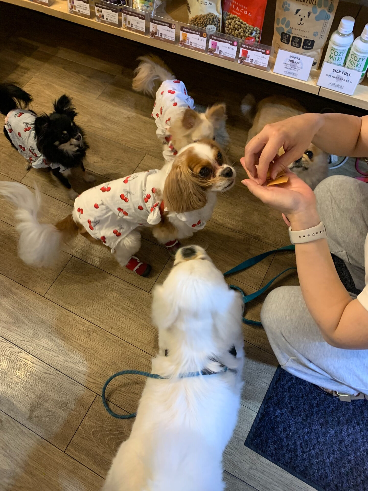 ハルくん、ナツくんご来店ありがとうございます😊