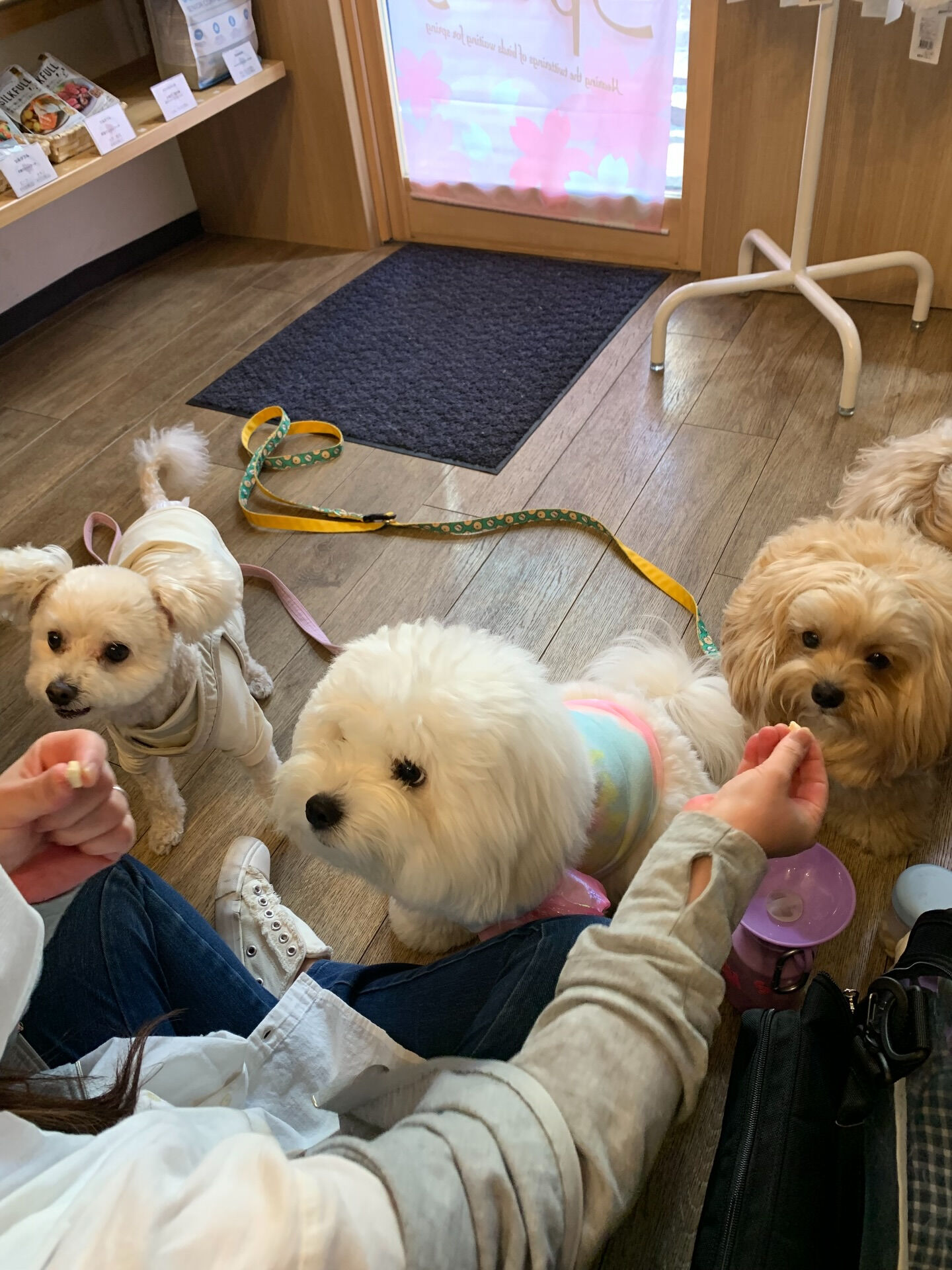 プーマくんご来店ありがとうございます😊