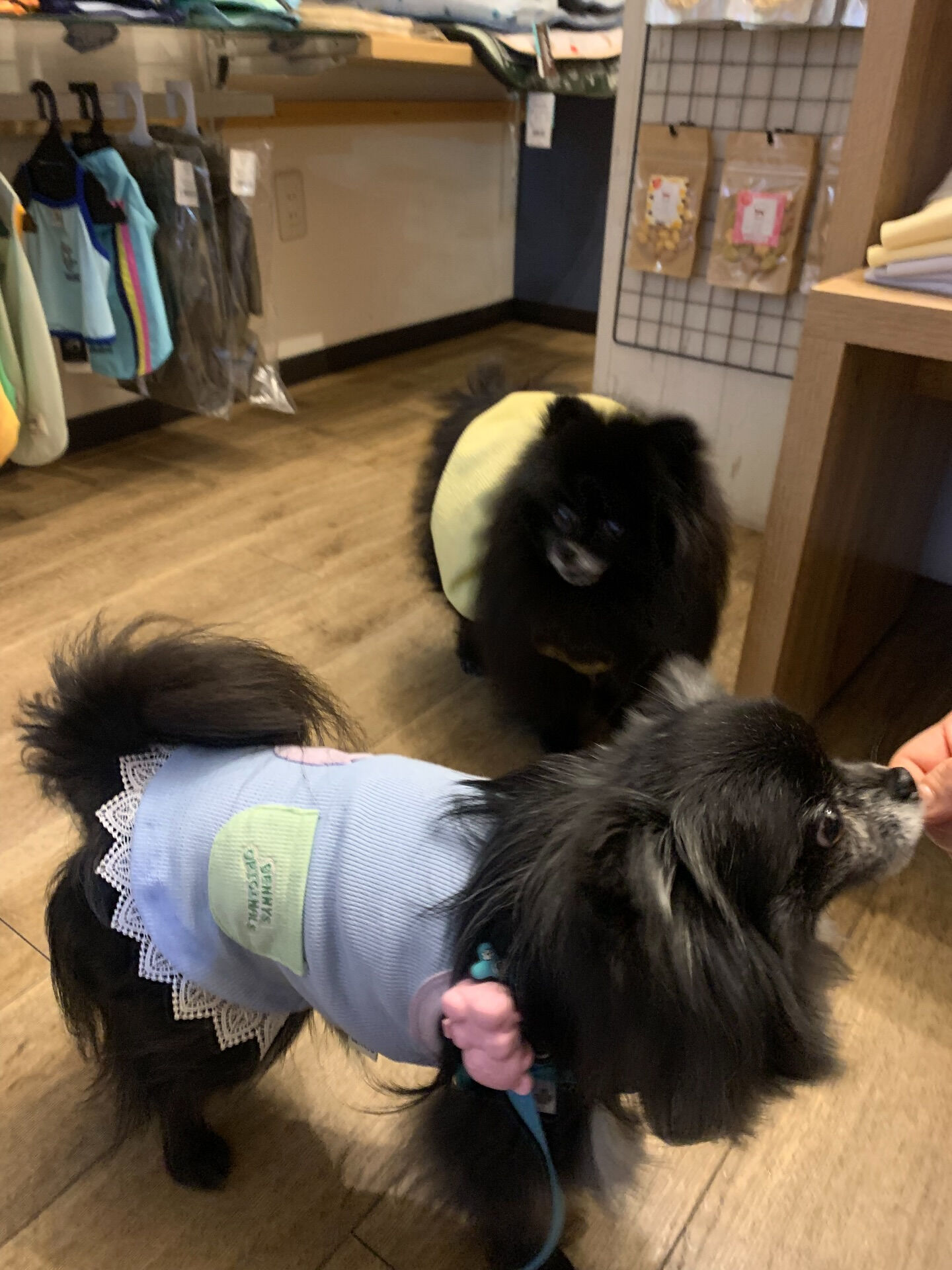 本日の大トリは、ラナちゃんでしたー🫶