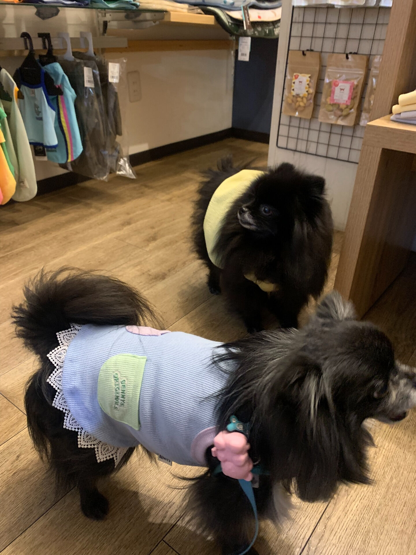本日の大トリは、ラナちゃんでしたー🫶