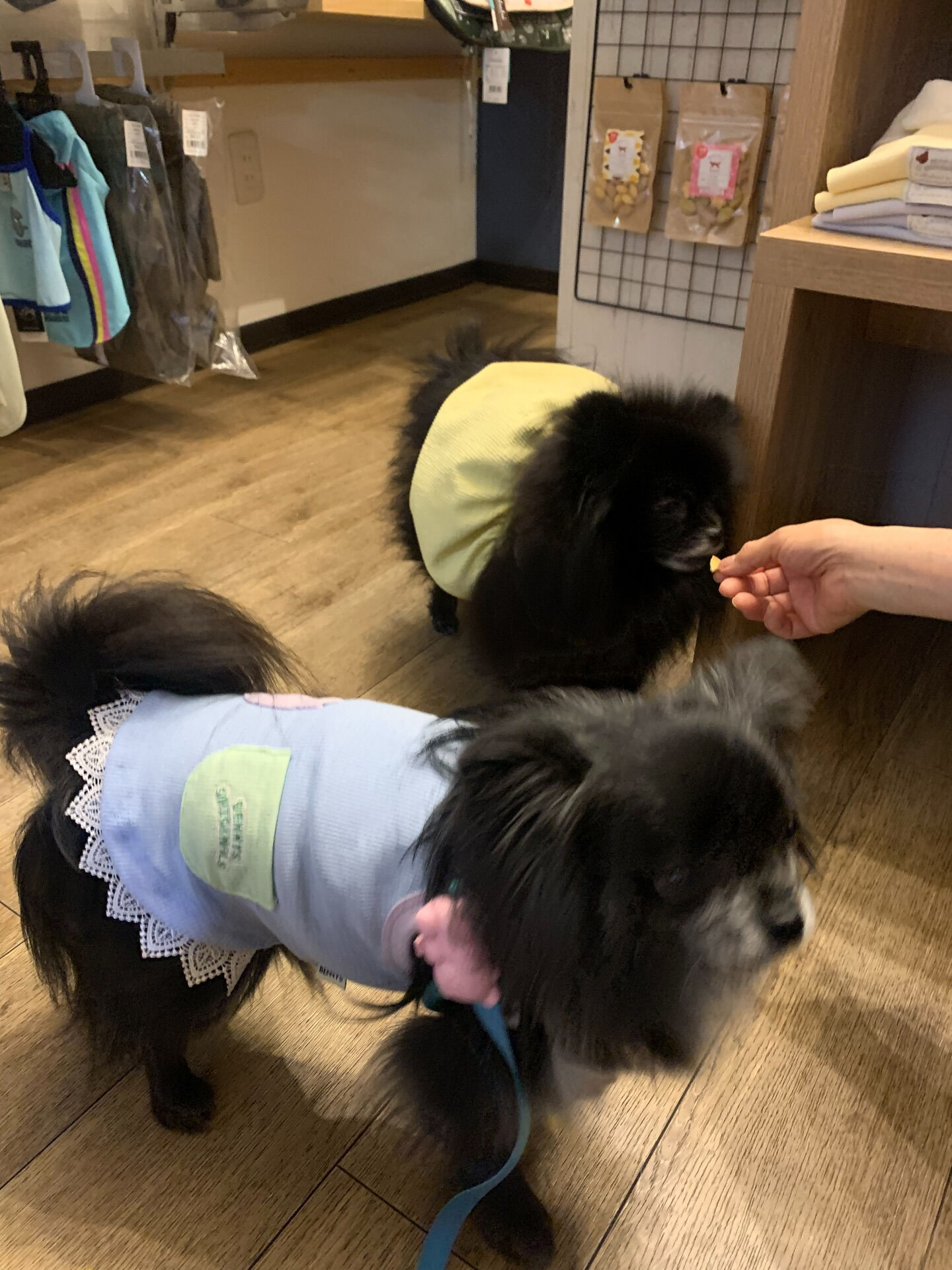 本日の大トリは、ラナちゃんでしたー🫶