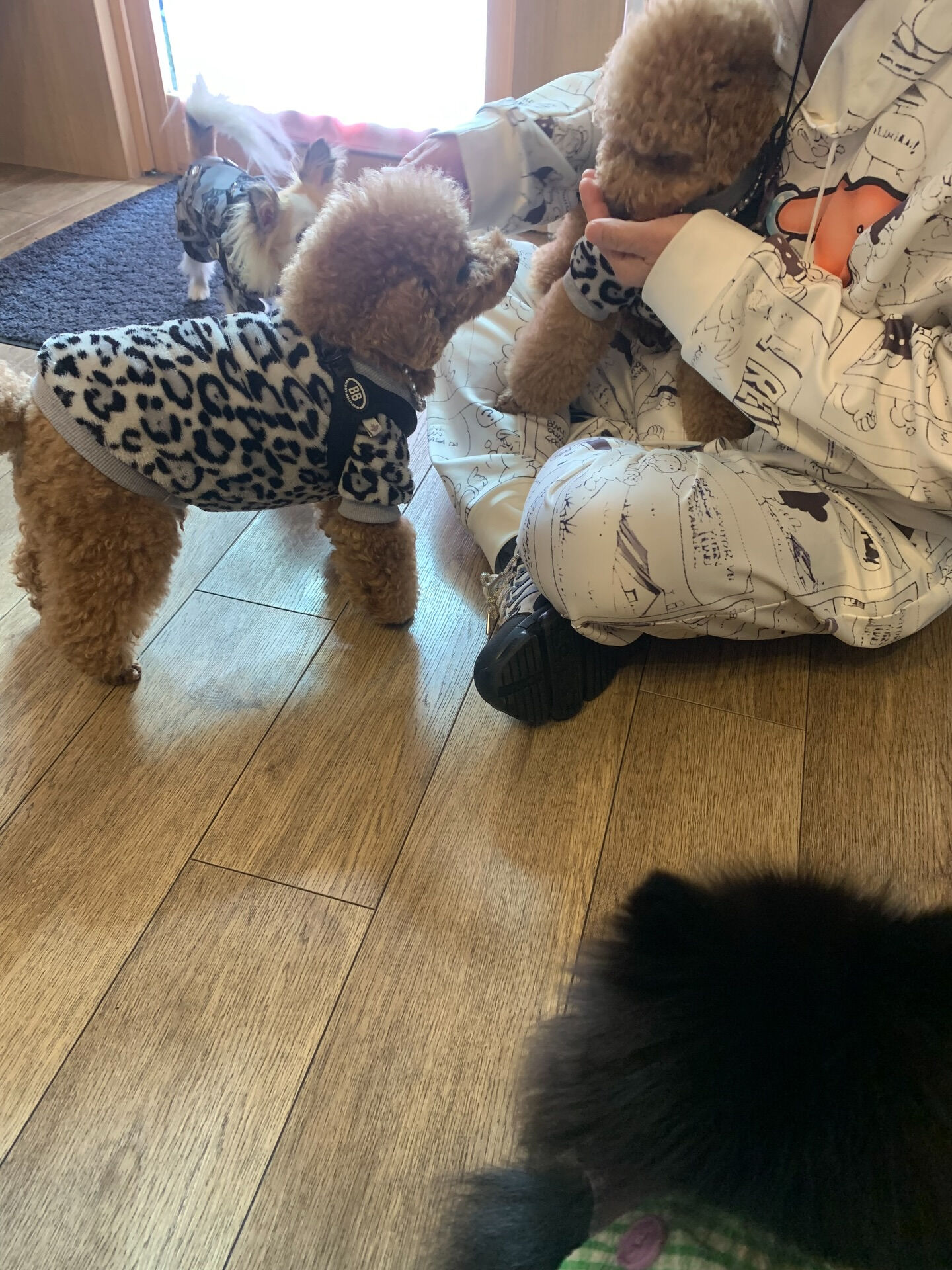 ティアくん、レオくん、こはるちゃん、エマちゃんおはようござい