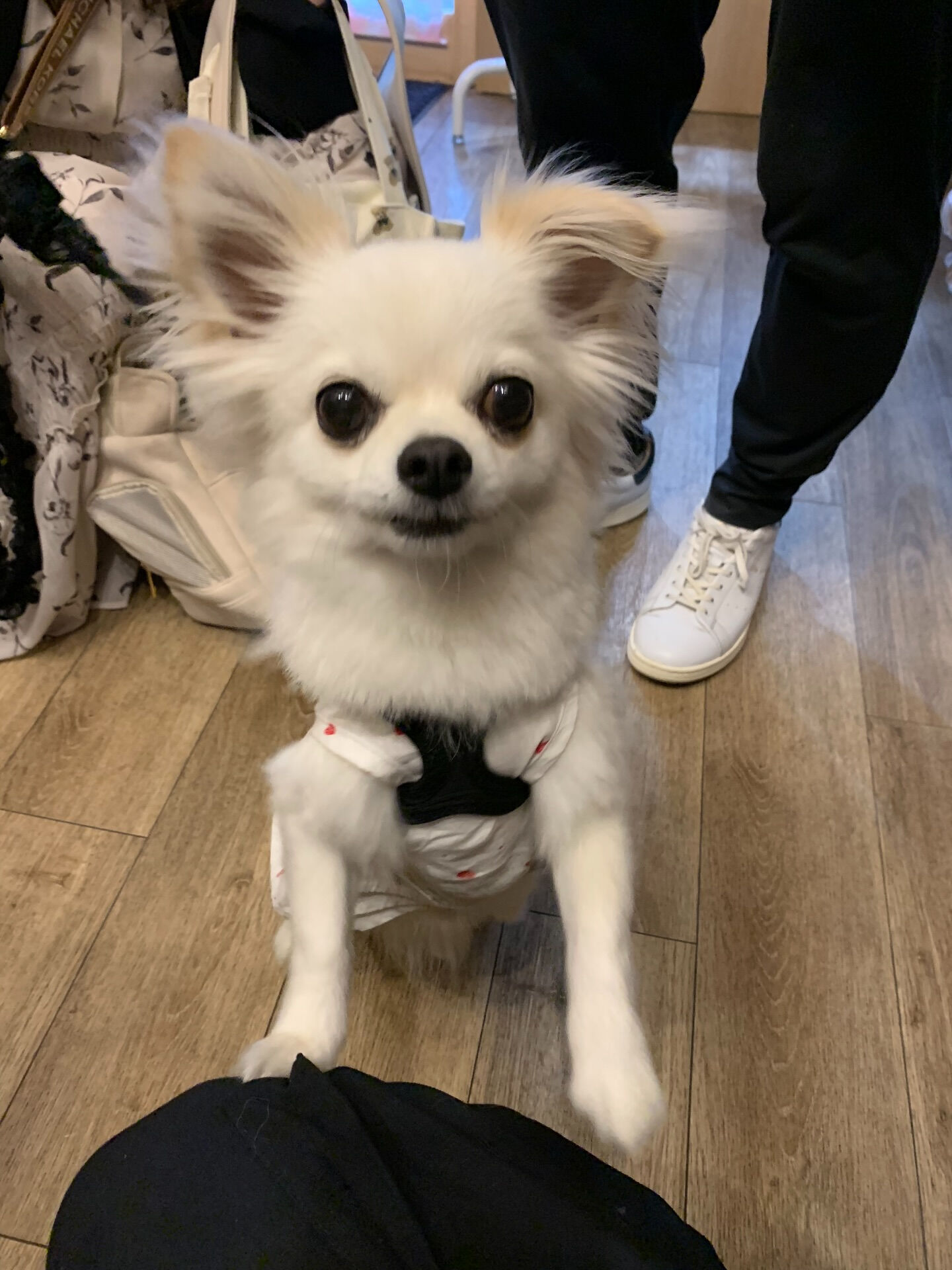 オレオくんご来店ありがとうございます😊