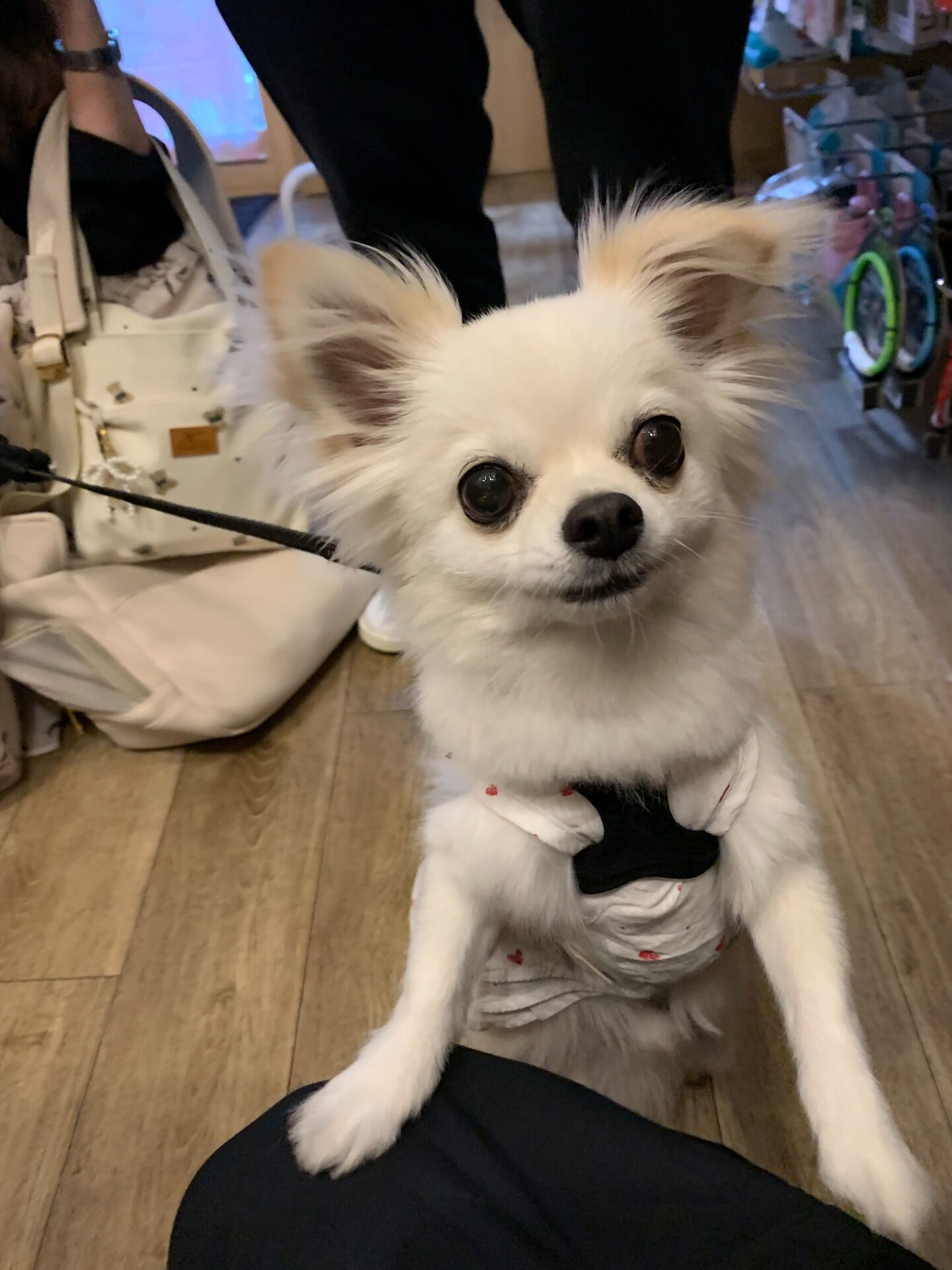 オレオくんご来店ありがとうございます😊