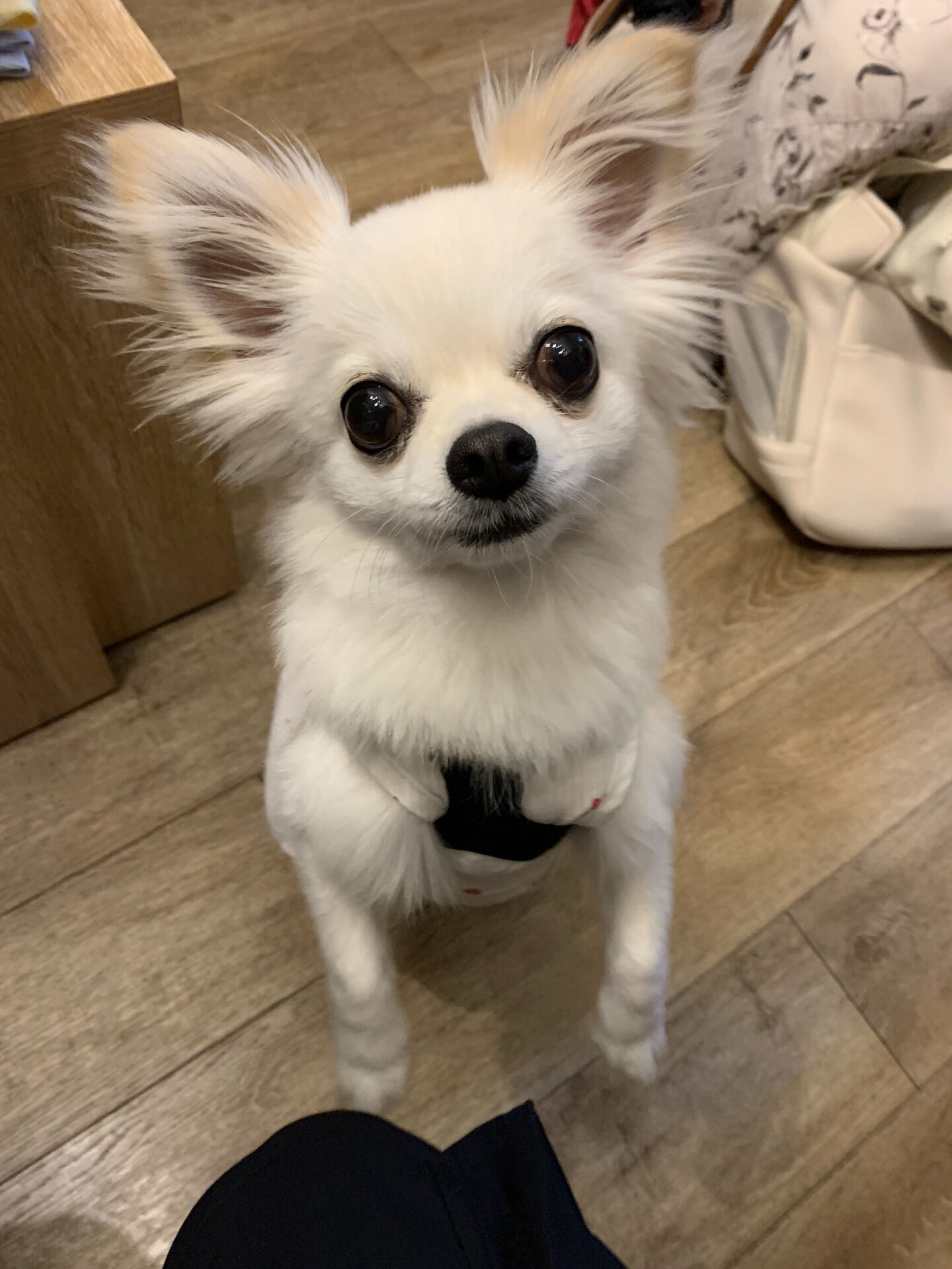 オレオくんご来店ありがとうございます😊