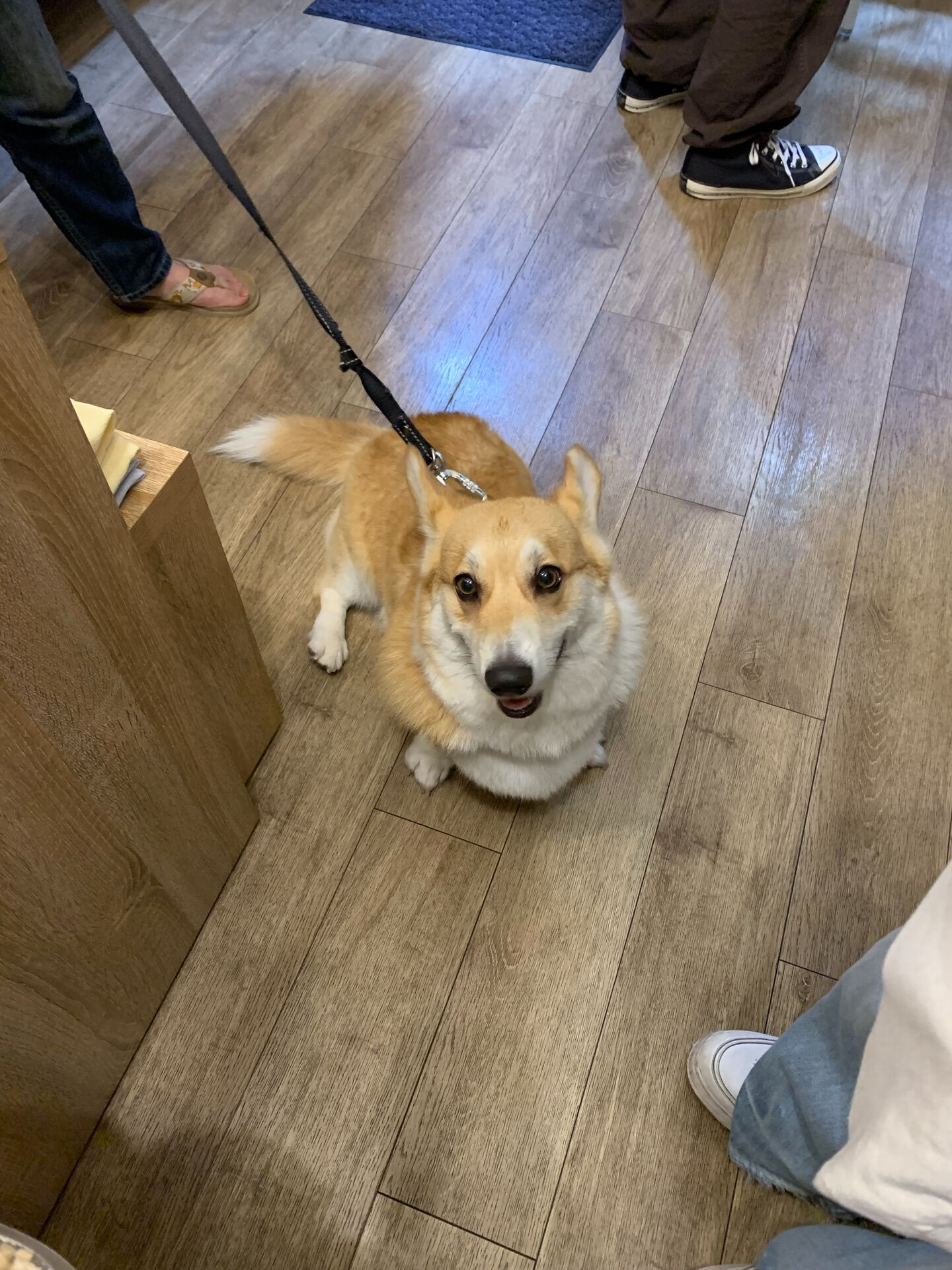 本日の大トリは、エドワードくんでした！
