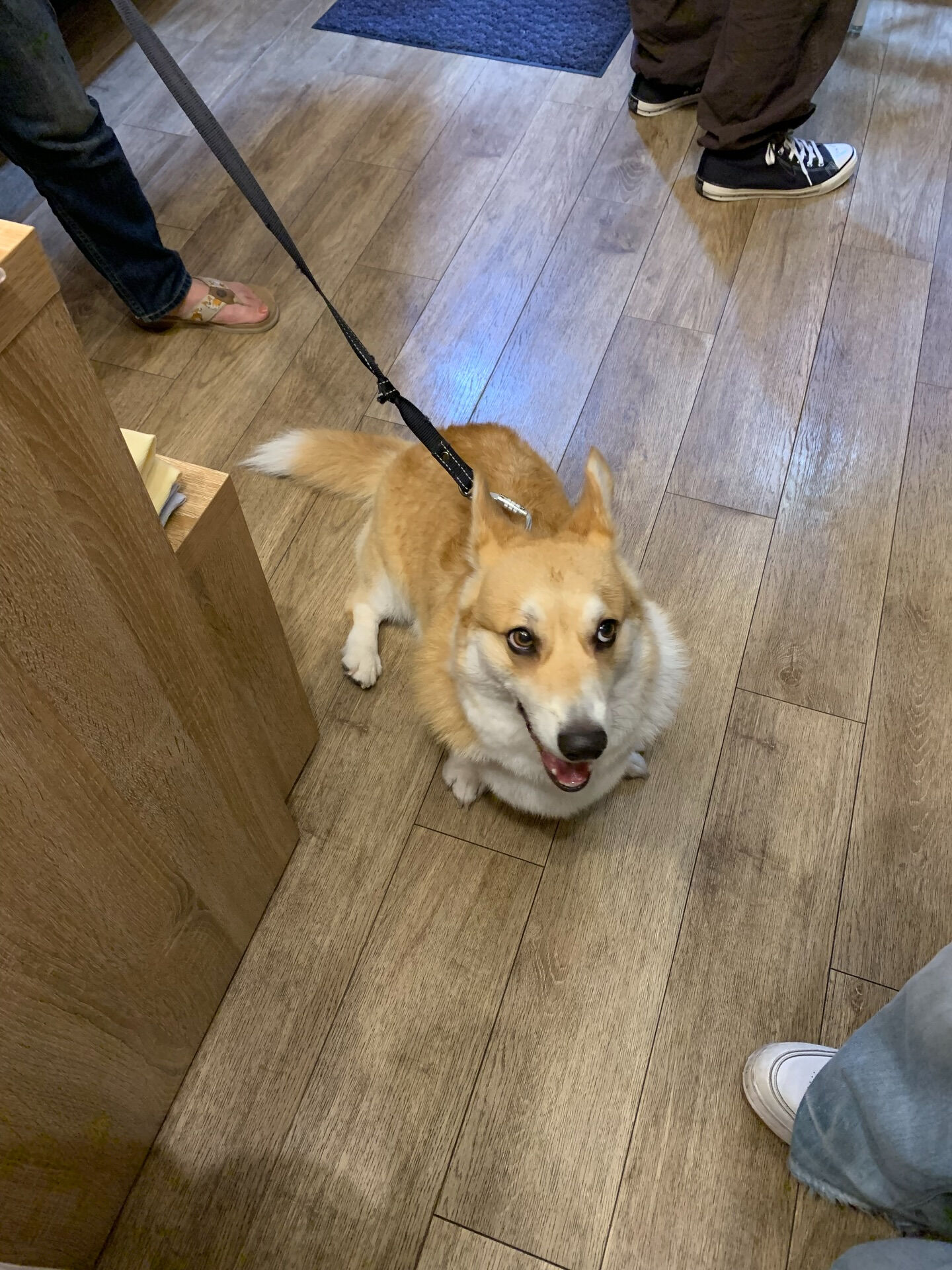 本日の大トリは、エドワードくんでした！