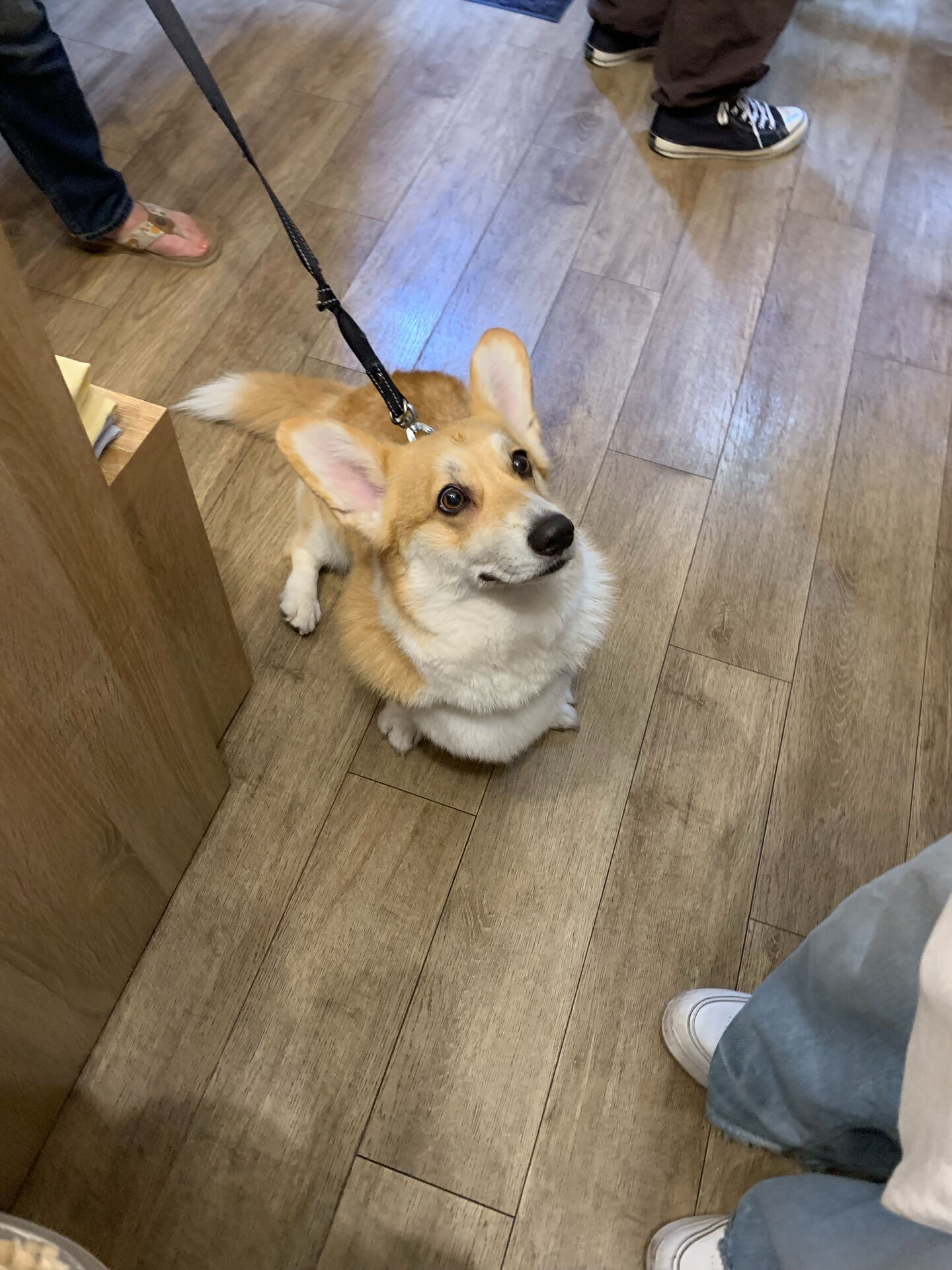 本日の大トリは、エドワードくんでした！