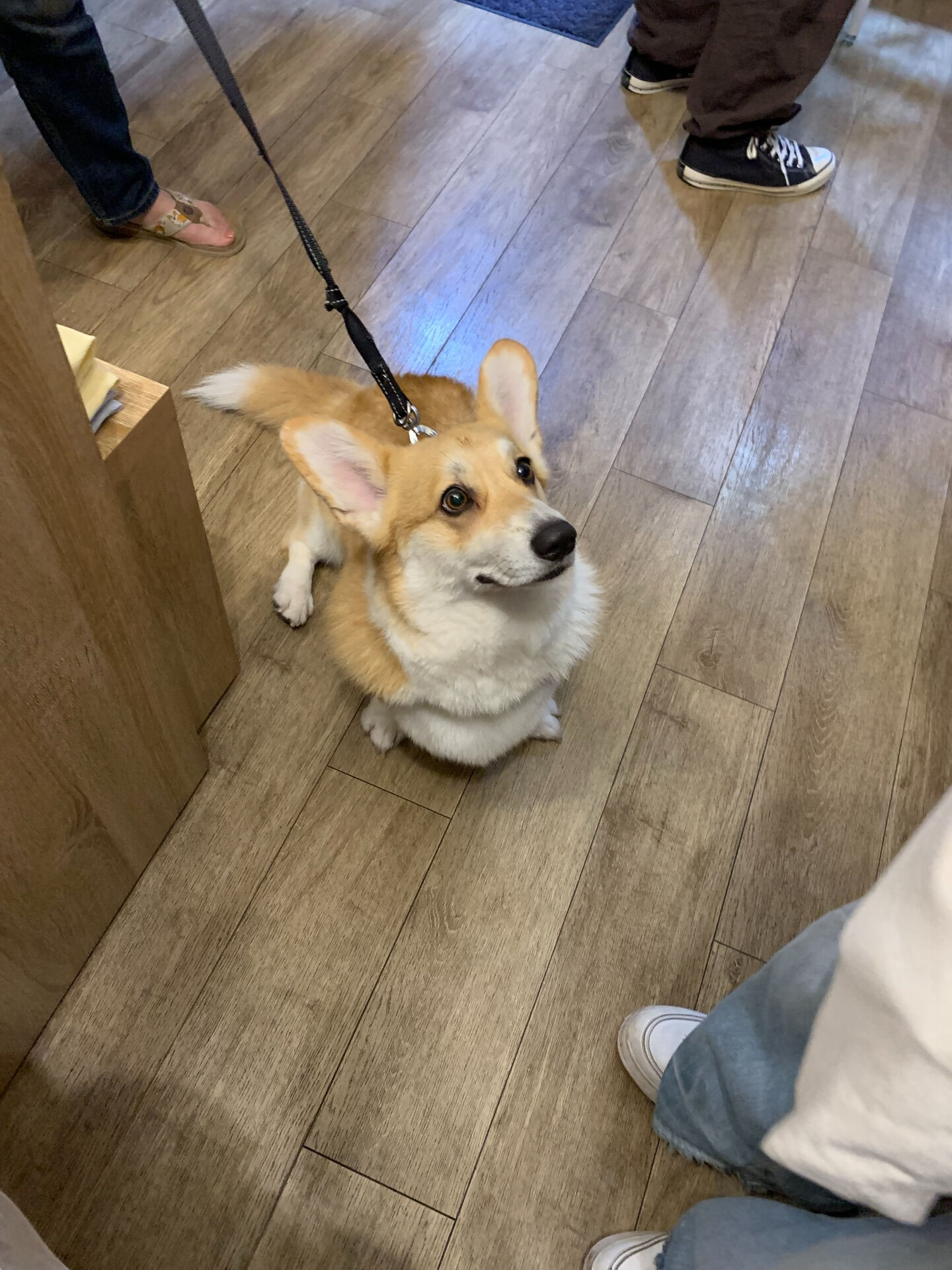 本日の大トリは、エドワードくんでした！