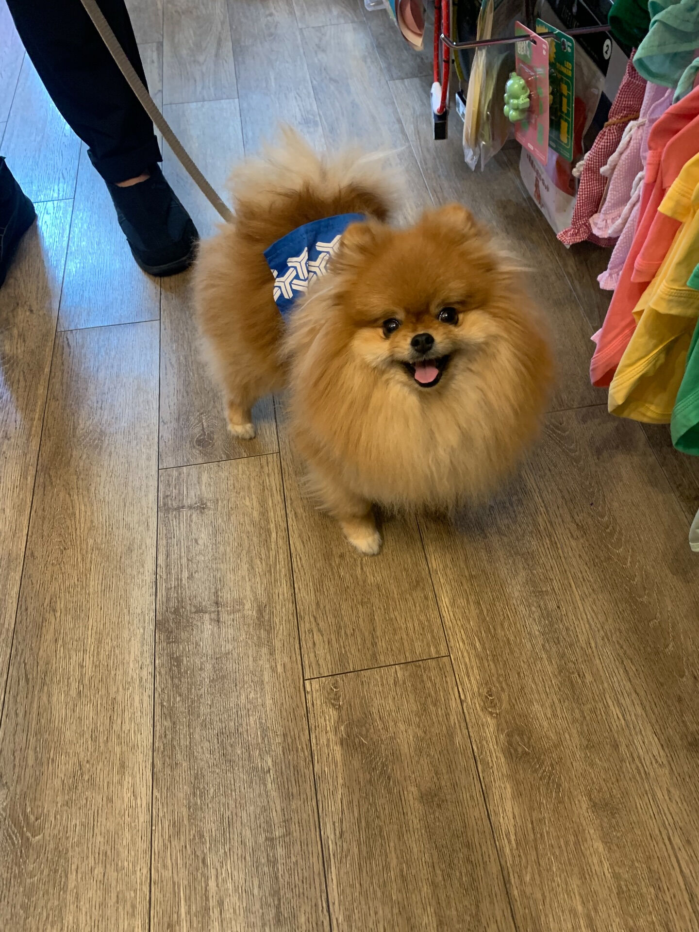 イヴちゃんご来店ありがとうございます😊
