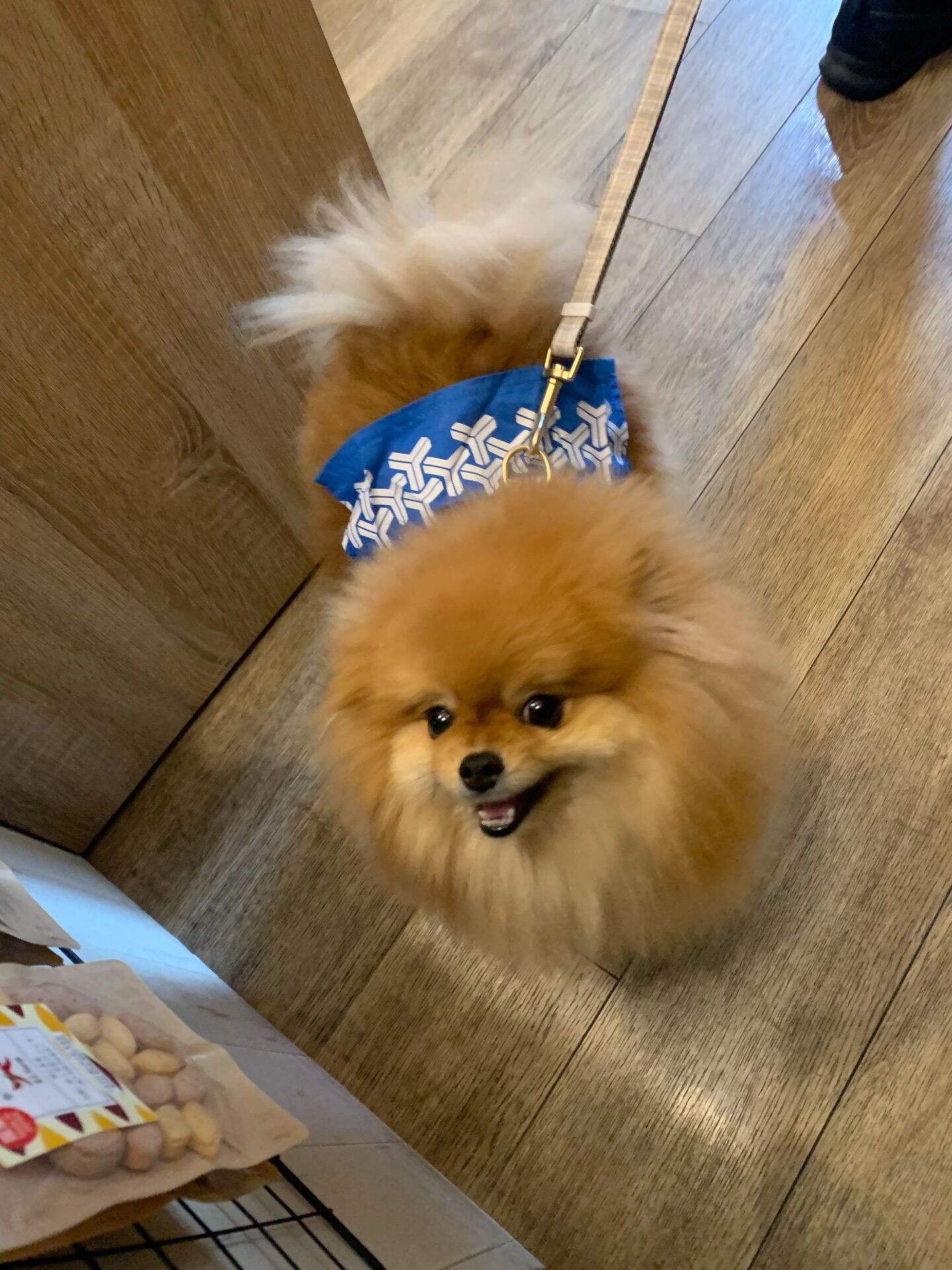 イヴちゃんご来店ありがとうございます😊