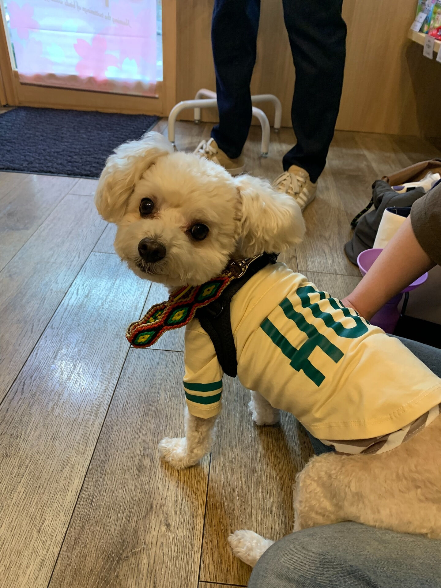 プーマくんご来店ありがとうございます😊