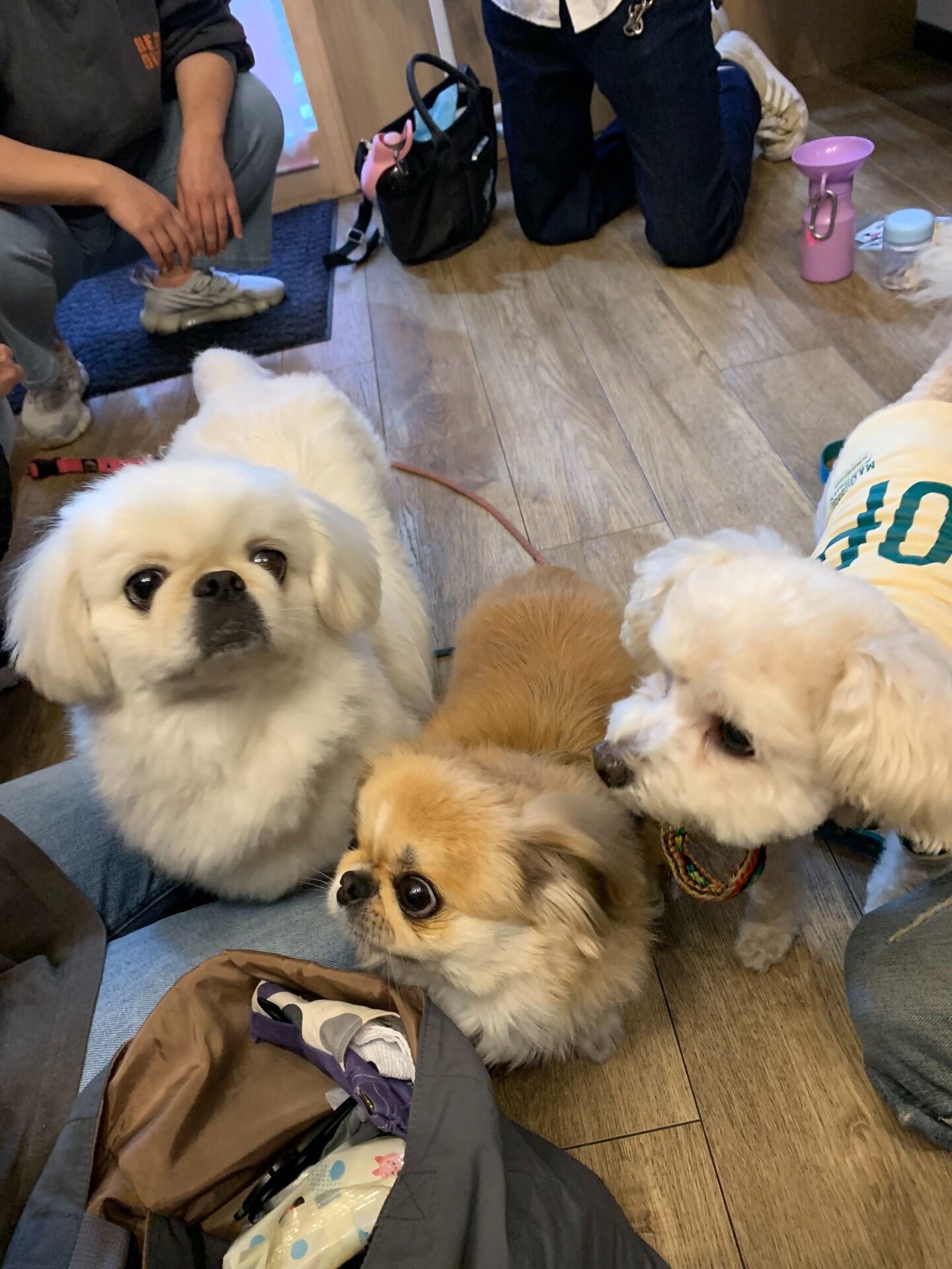 ハルくん、ナツくんご来店ありがとうございます😊