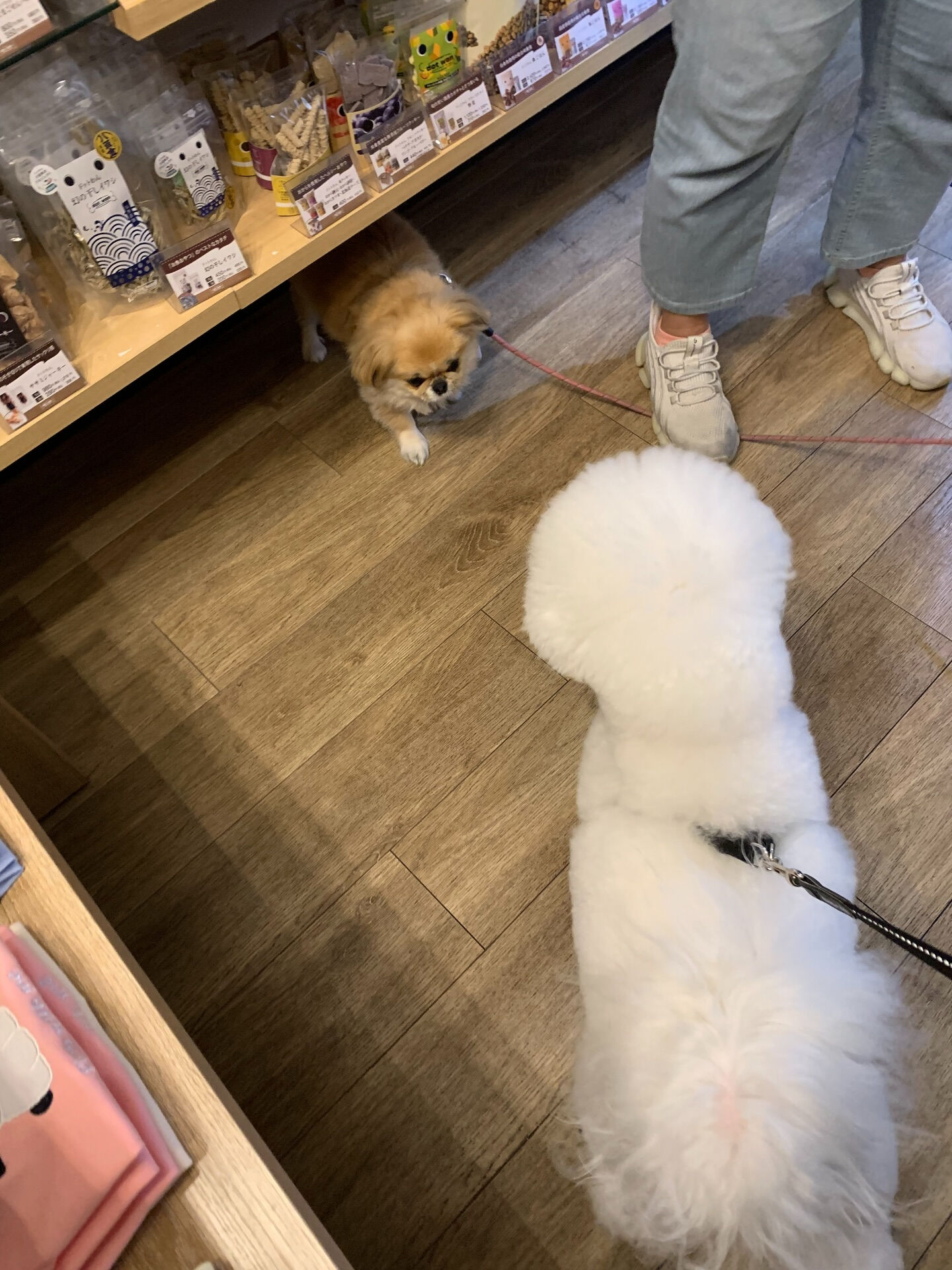 フランくんご来店ありがとうございます😊