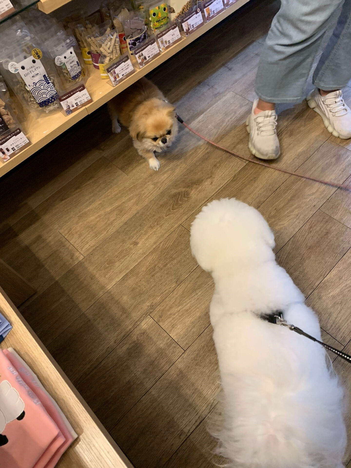 フランくんご来店ありがとうございます😊