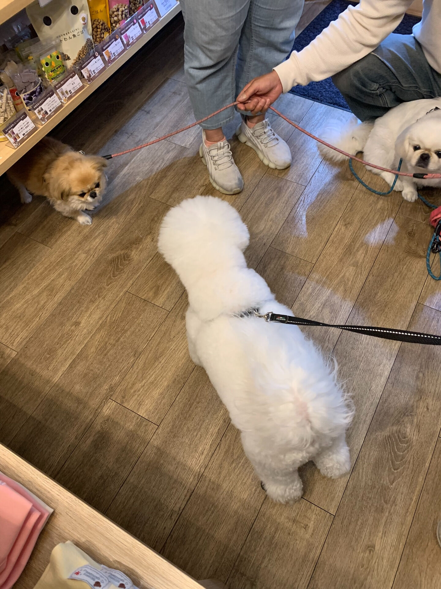 フランくんご来店ありがとうございます😊