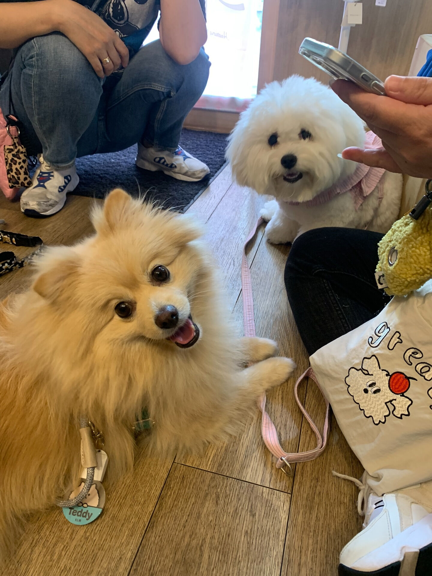 笑丸くん、笑心ちゃん、テディくんご来店ありがとうございます😊