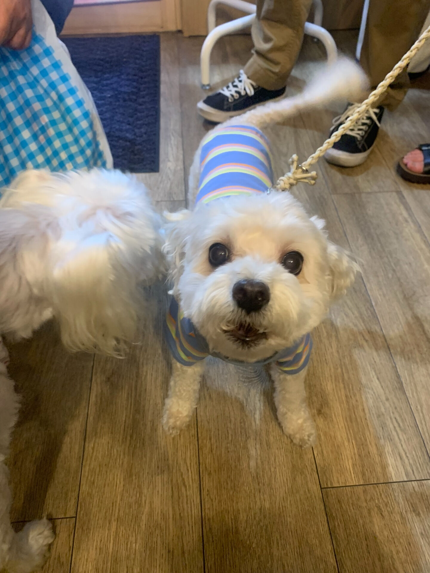 プーマくんご来店ありがとうございます😊