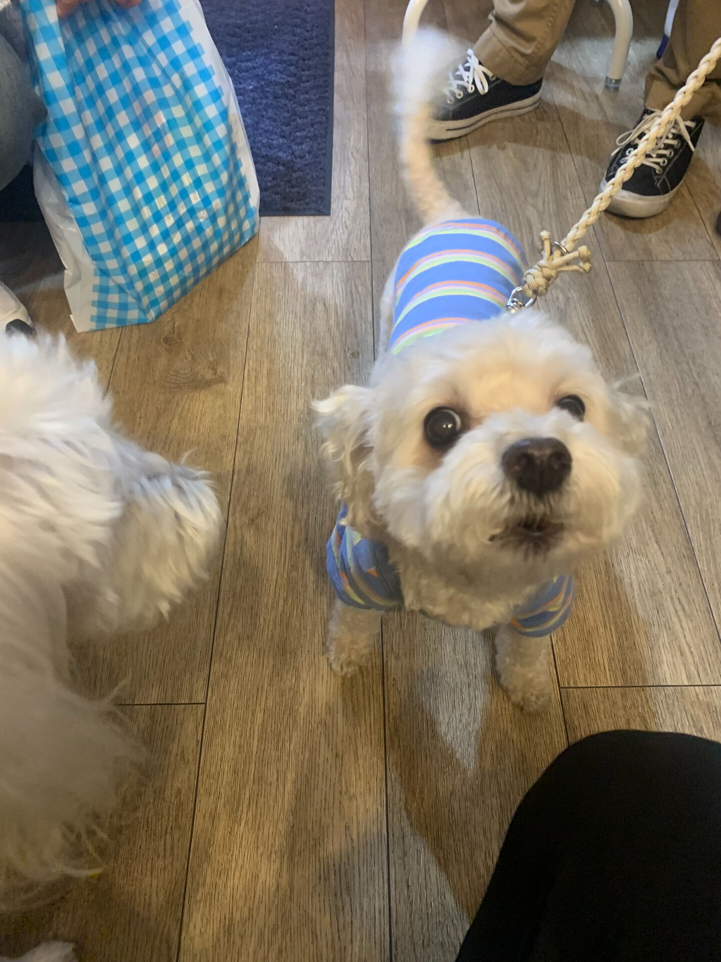 プーマくんご来店ありがとうございます😊