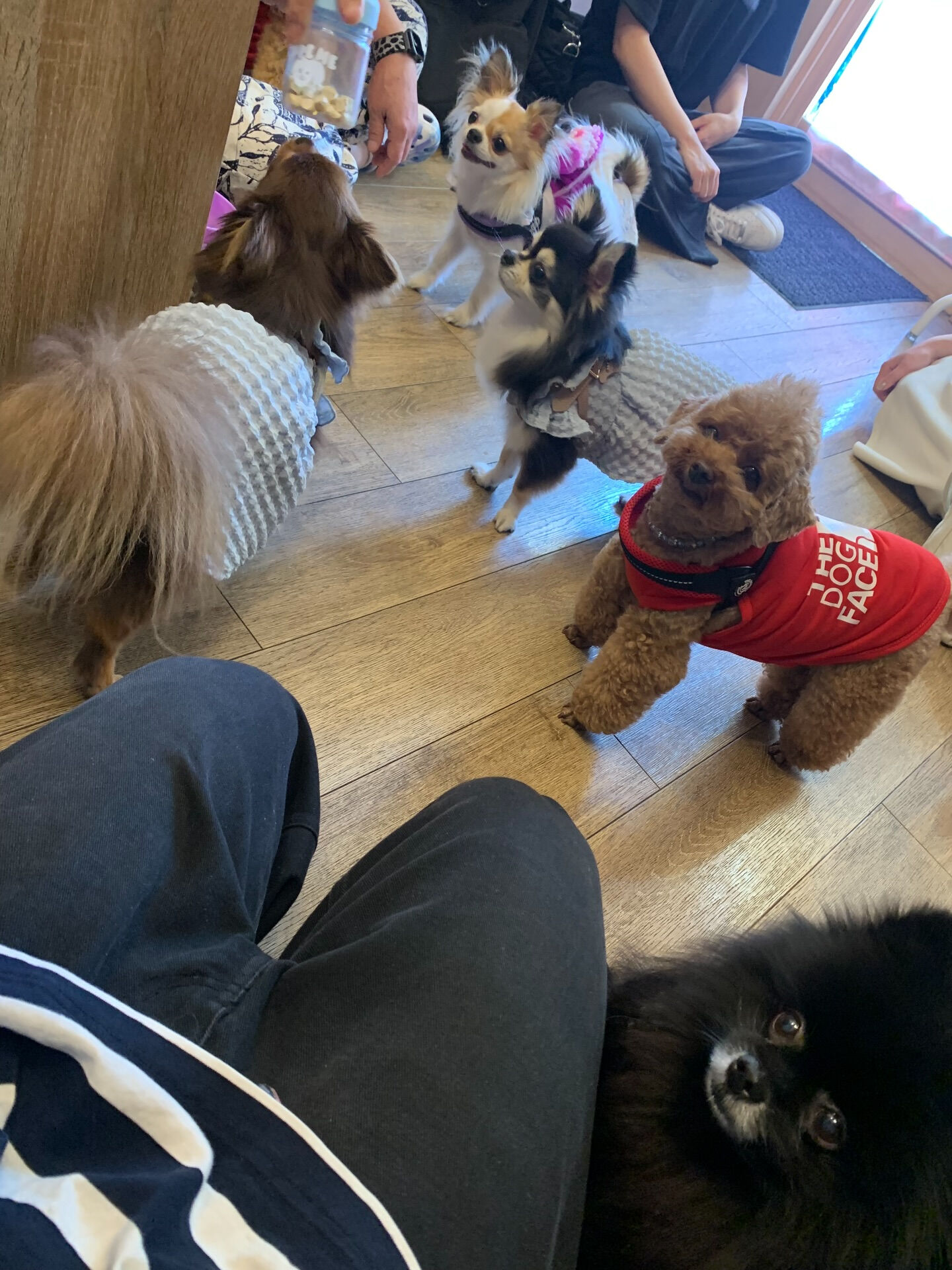 エマちゃんご来店ありがとうございます😊